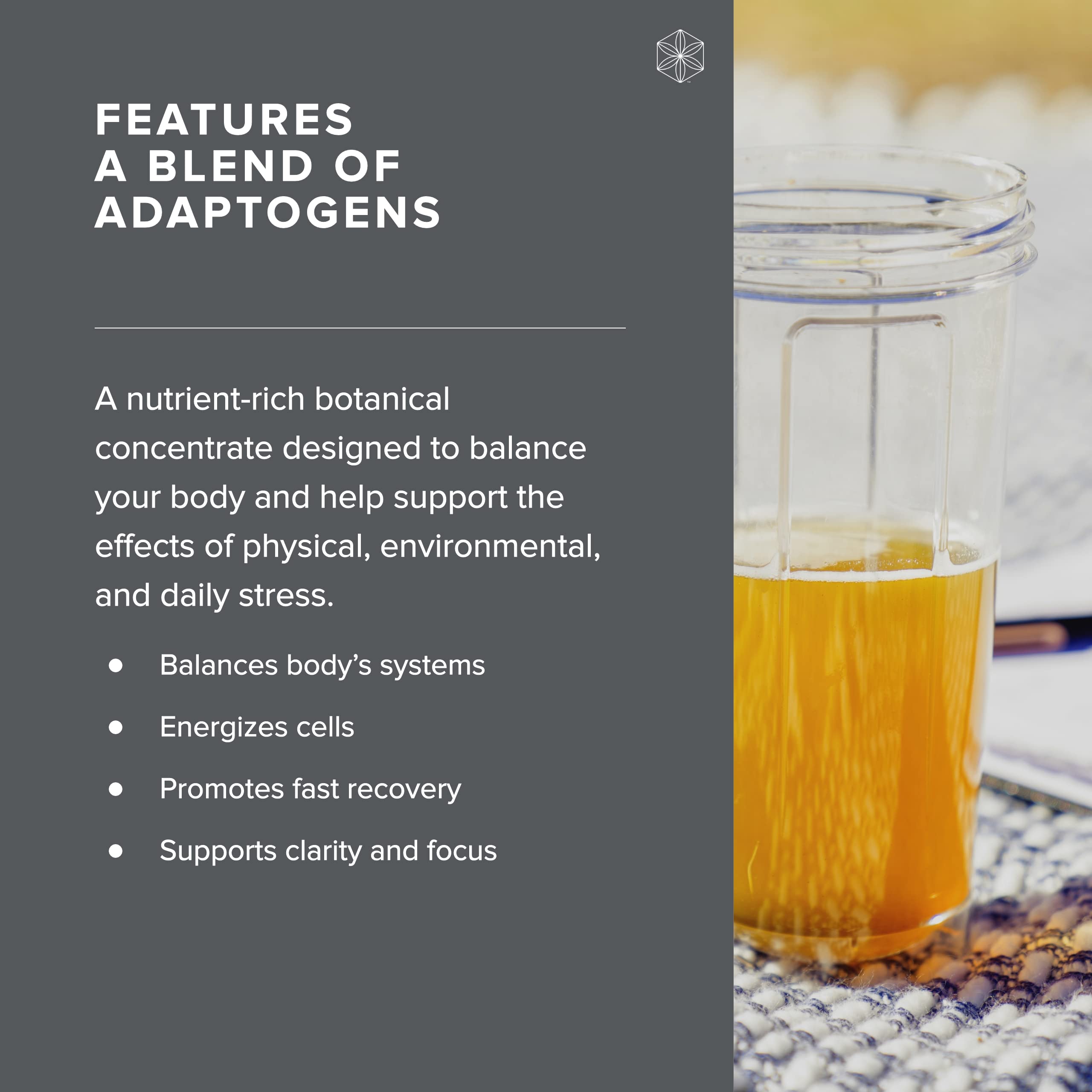 Isagenix Ionix Supreme - Powder Supplement with Vitamin B12 & Niacin - Focus Supplemen Isagenix uk supplements