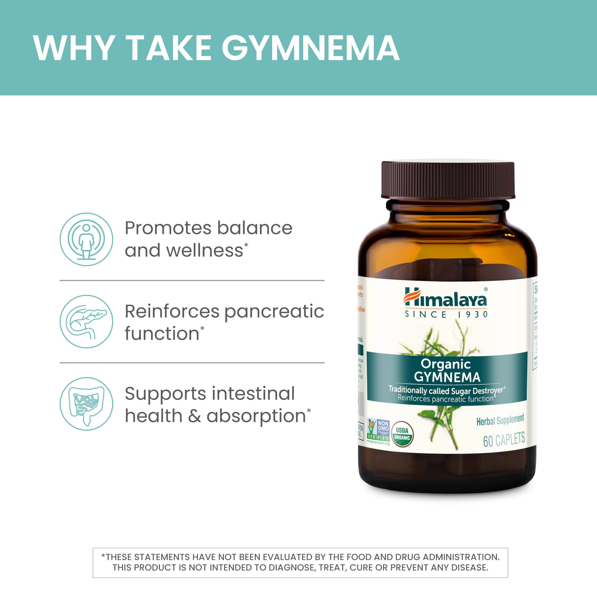 Himalaya Organic Gymnema Herbal Supplement for Weight Management, USDA Certified Himalaya uk supplements