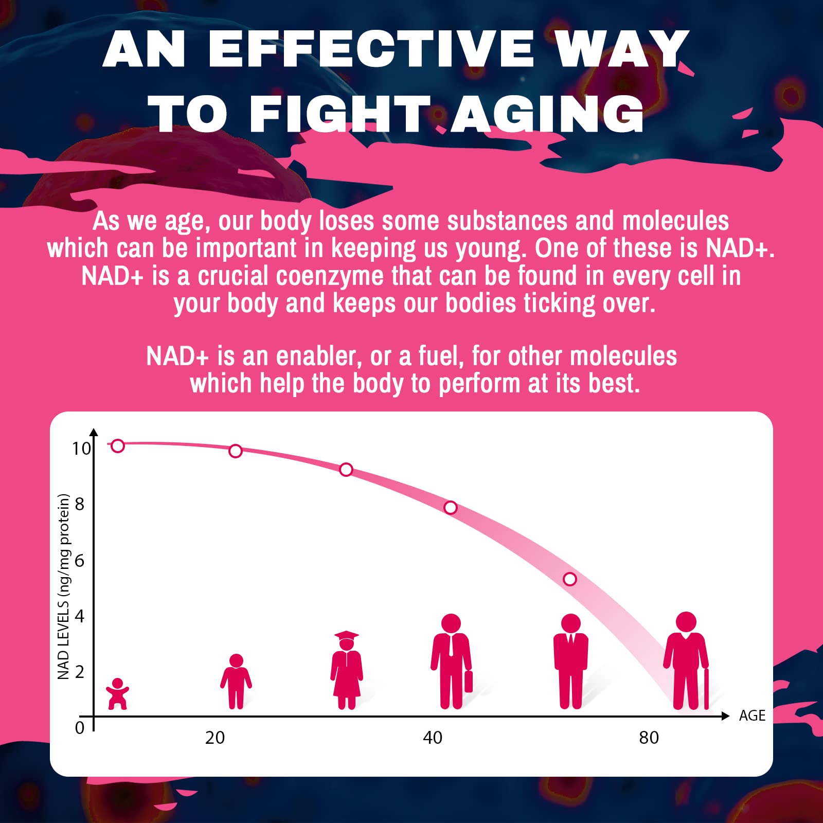 Laevigo Liposomal NAD+ Supplement 1200mg High Absorption, Cellular Energy & Mitochondrial Support, NAD Plus for Longevity & Vitality, Anti-Aging Formula, 60 Softgels Laevigo uk supplements