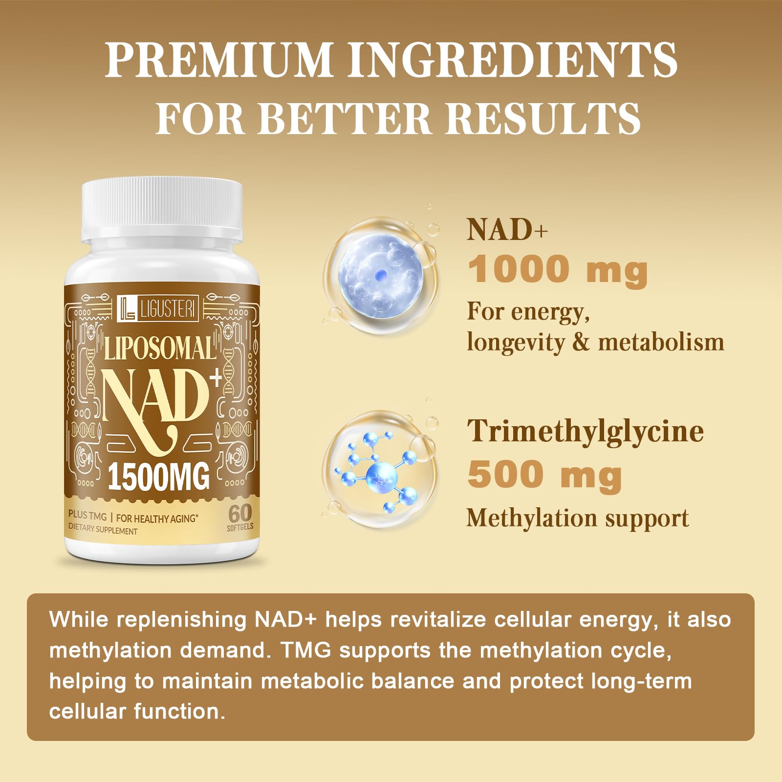LIGUSTERI 1500 MG Liposomal NAD+, 98%+ Absorption, NAD+ Supplement for Women & Men with TMG, for Aging Defense, Cellular Energy, Heart & Brain Function, Longevity, 120 Softgels LIGUSTERI uk supplements