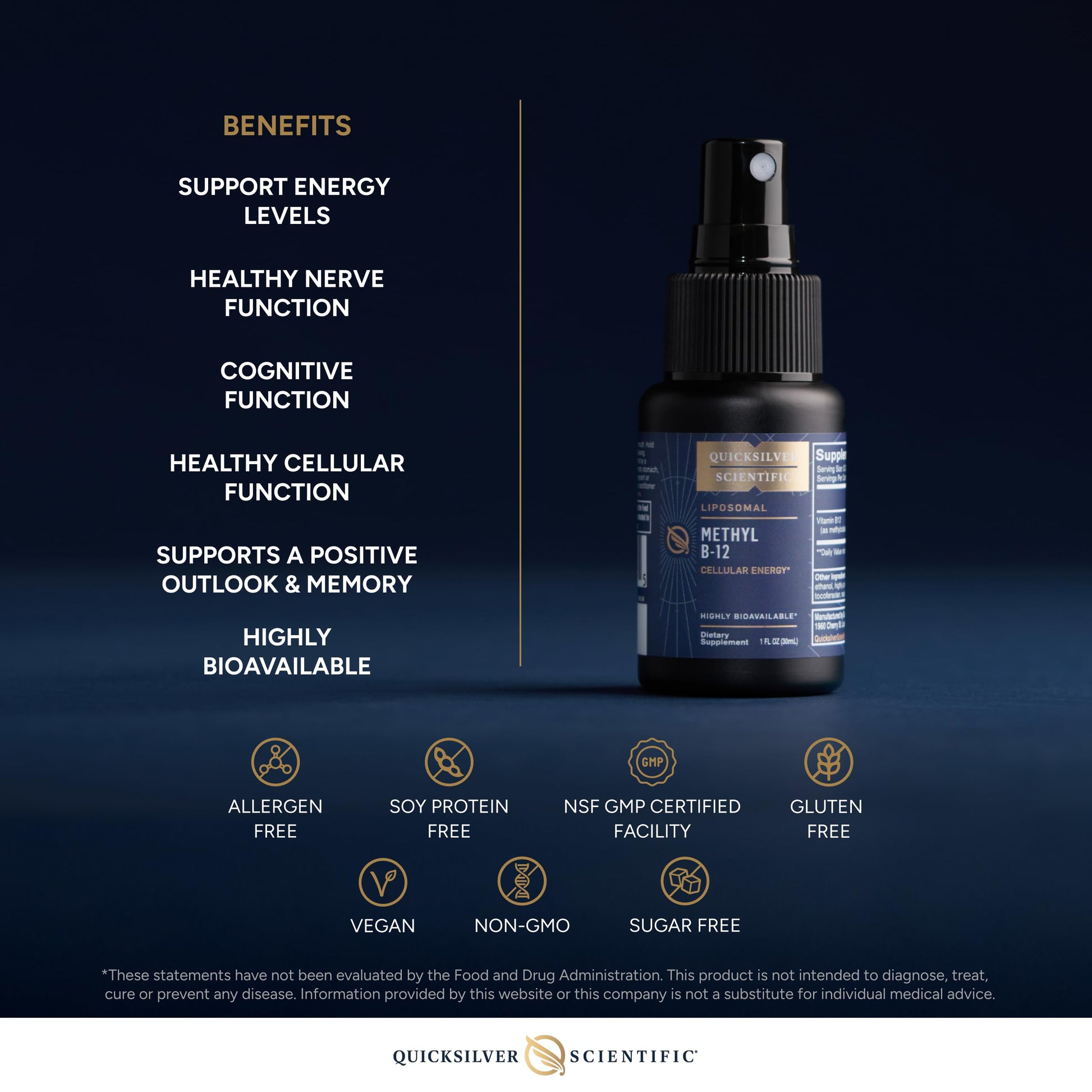 Quicksilver Scientific Methyl B12-1000mcg Vitamin B12 as Methylcobalamin - with Nano Technology for Superior Absorption - Supportive Energy Supplement (30ml / 90 Servings) Quicksilver Scientific uk supplements