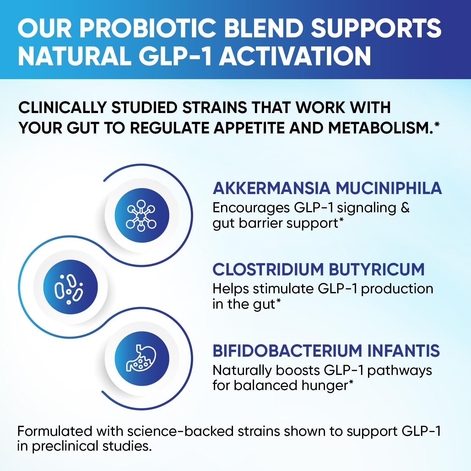GLP-1 XLR8 Supplement for Weight Loss, Digestion, Constipation, Bloating Relief with Akkermansia 2.6 Billion AFU Live Prebiotic Probiotic Postbiotic Gut Health + Berberine for Women Men 360 Capsules Snappy Scripts uk supplements