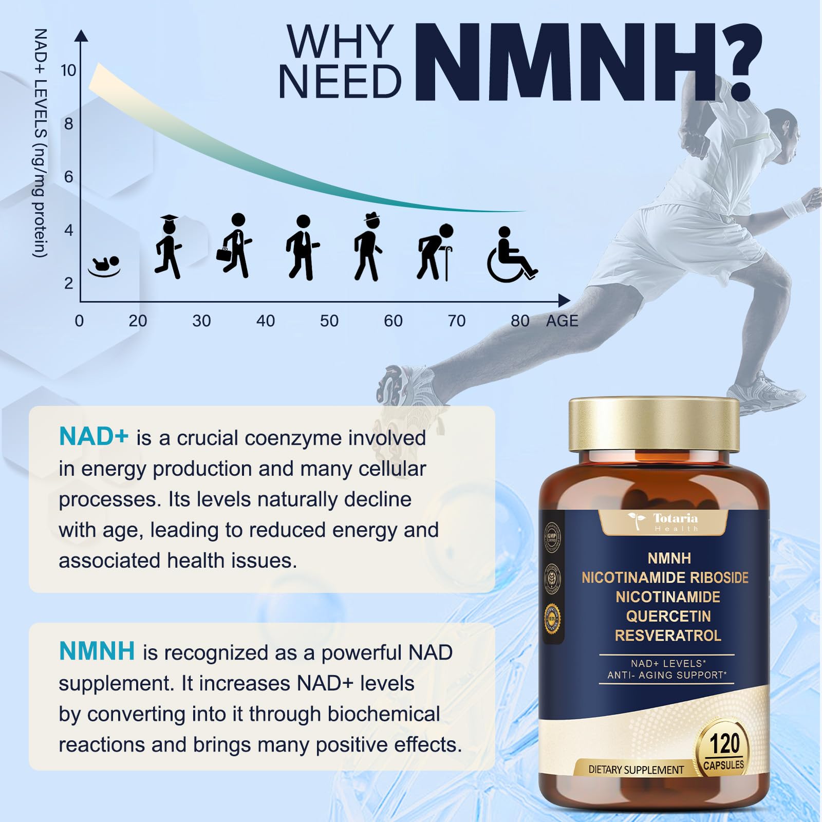 Totaria NMNH 500mg (Dihydronicotinamide Mononucleotide), Premium NMN Alternative Supplement w/Niacinamide (Vitamin B3), Quercetin, Trans-Resveratrol, for NAD+, Skin Cell, Anti-Aging & Energy, 120 Ct Totaria uk supplements