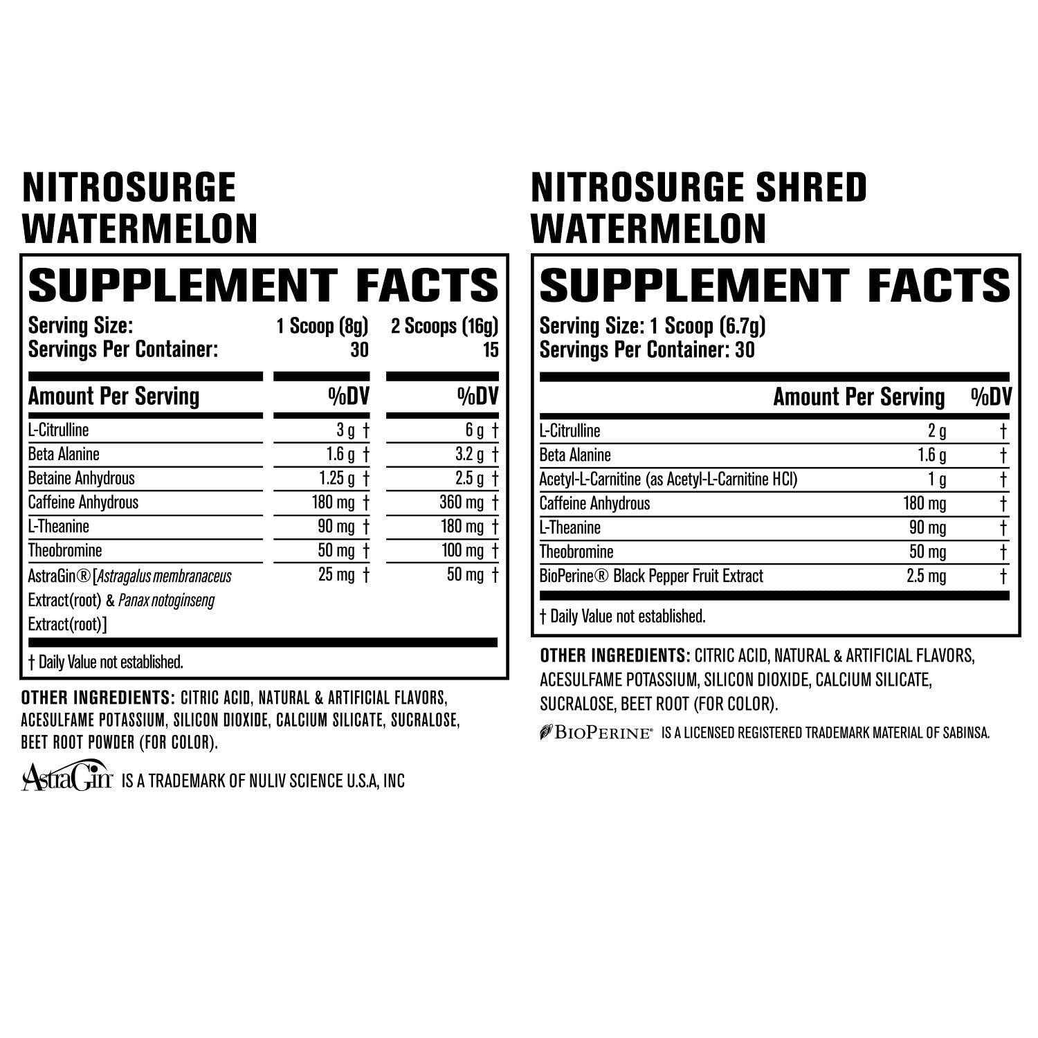 Jacked Factory Nitrosurge Shred Thermogenic Pre-Workout in Watermelon & Watermelon Jacked Factory uk supplements