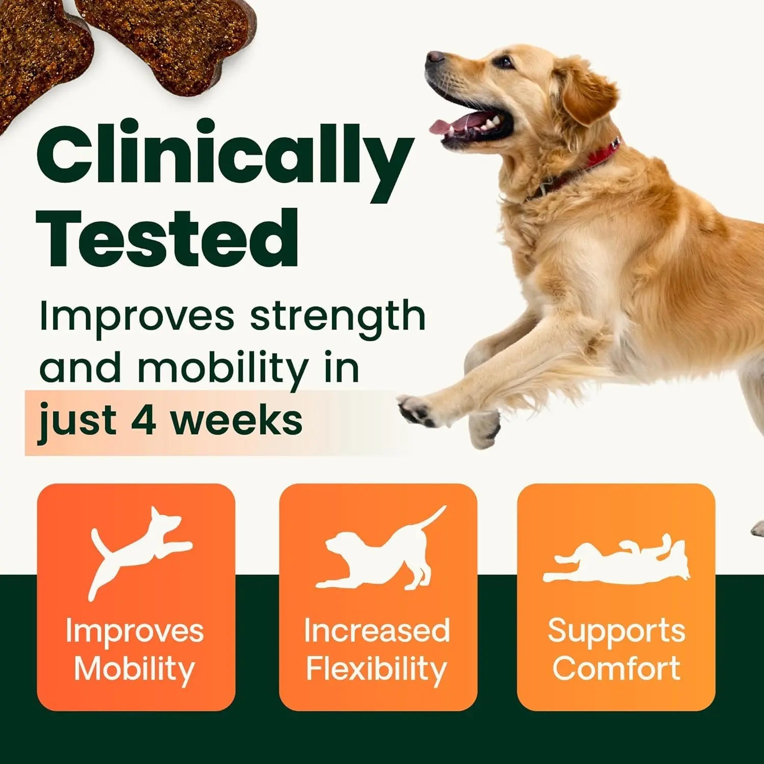 VetriScience Ultimate Strength Healthy Hip & Joint Chews, GlycoFlex Glucosamine, Chondroitin and Green-Lipped Mussel Joint Support Supplement for Dogs, Soothe Joint Discomfort, Duck, 120 Count VETRISCIENCE uk supplements