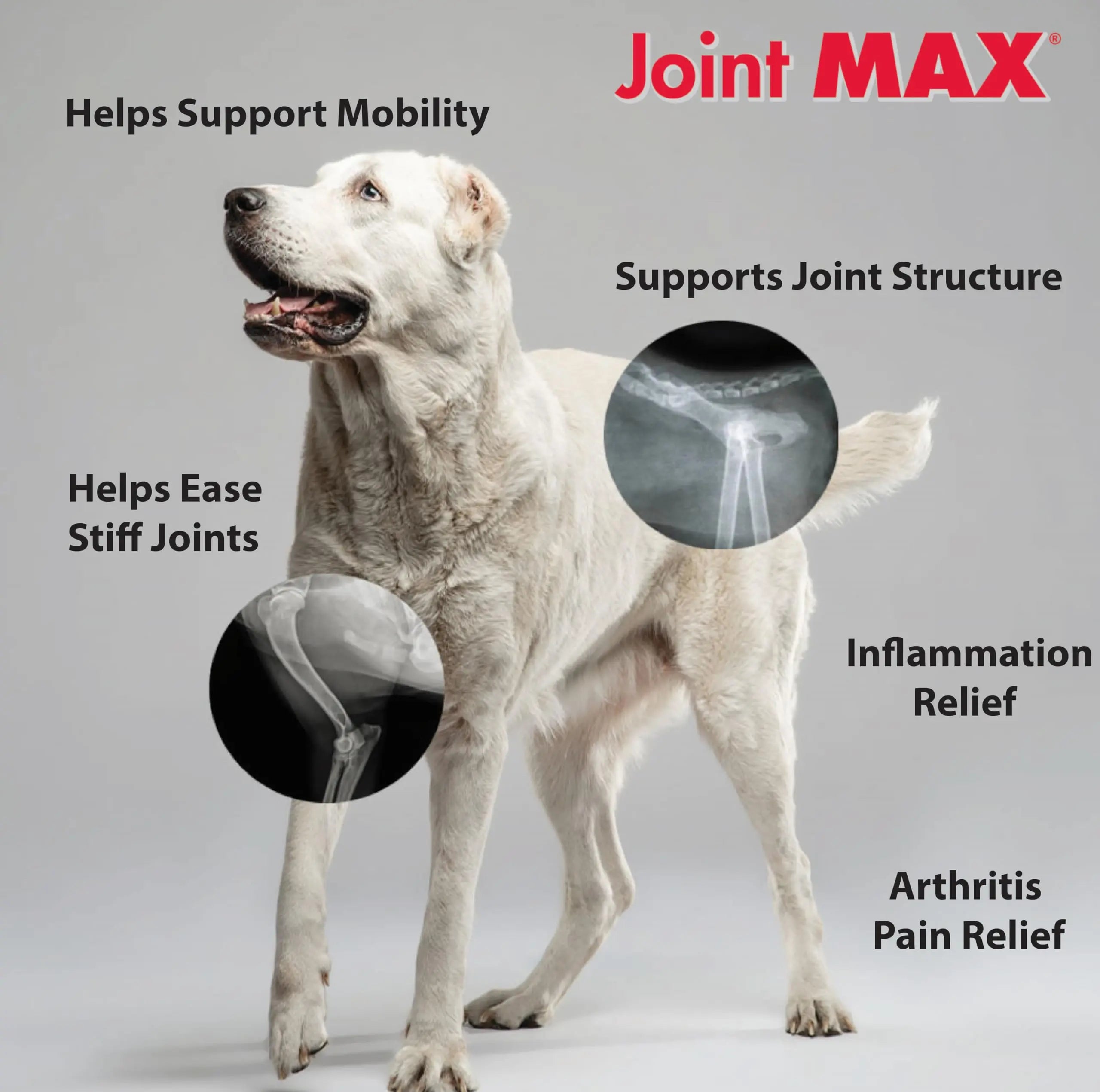 Joint MAX Triple Strength Hypo-Allergenic Soft Chews for Dogs - Hip and Joint Support Supplement with Glucosamine, Chondroitin, & MSM - Made in The USA - 120 Soft Chews Joint Max uk supplements