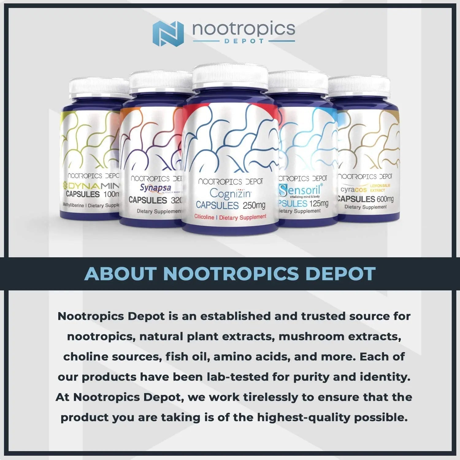 Nootropics Depot Uridine Monophosphate Capsules | Disodium Salt (60 Count) Cognitive Enhancer* | Nootropic | Choline Precursor Nootropics Depot uk supplements