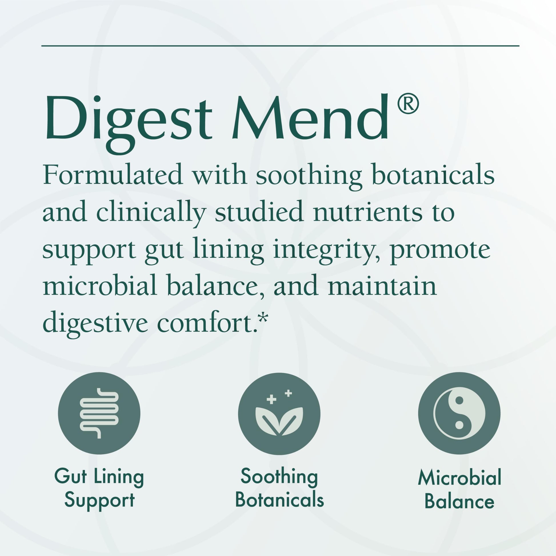 Natura Health Products Digest Mend Supplement - Encourages Healthy gastric microboime* - Featuring Deglycyrrhizinated Licorice (DGL), Aloe Vera, Marshmallow, Mastic Gum, & Chamomile (180 Capsules) Natura Health Products uk supplements