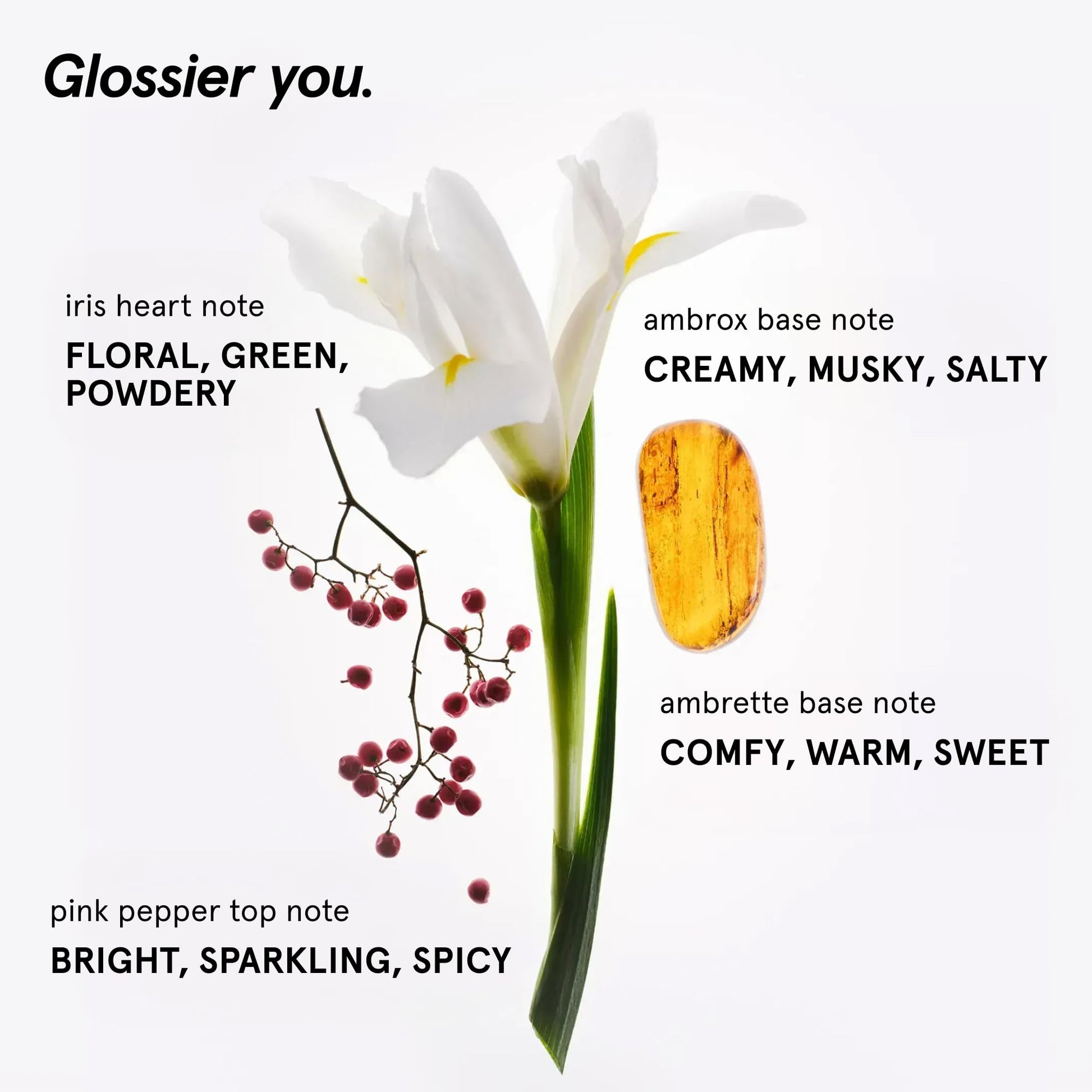Glossier You Solid Perfume - Unisex Fragrance for Women & Men in Refillable Compact, Alcohol-Free Balm Melts Into Skin - Buildable Warm & Spicy Scent Pink Pepper, Iris, Ambrox - Travel-Friendly, 3g Glossier uk supplements