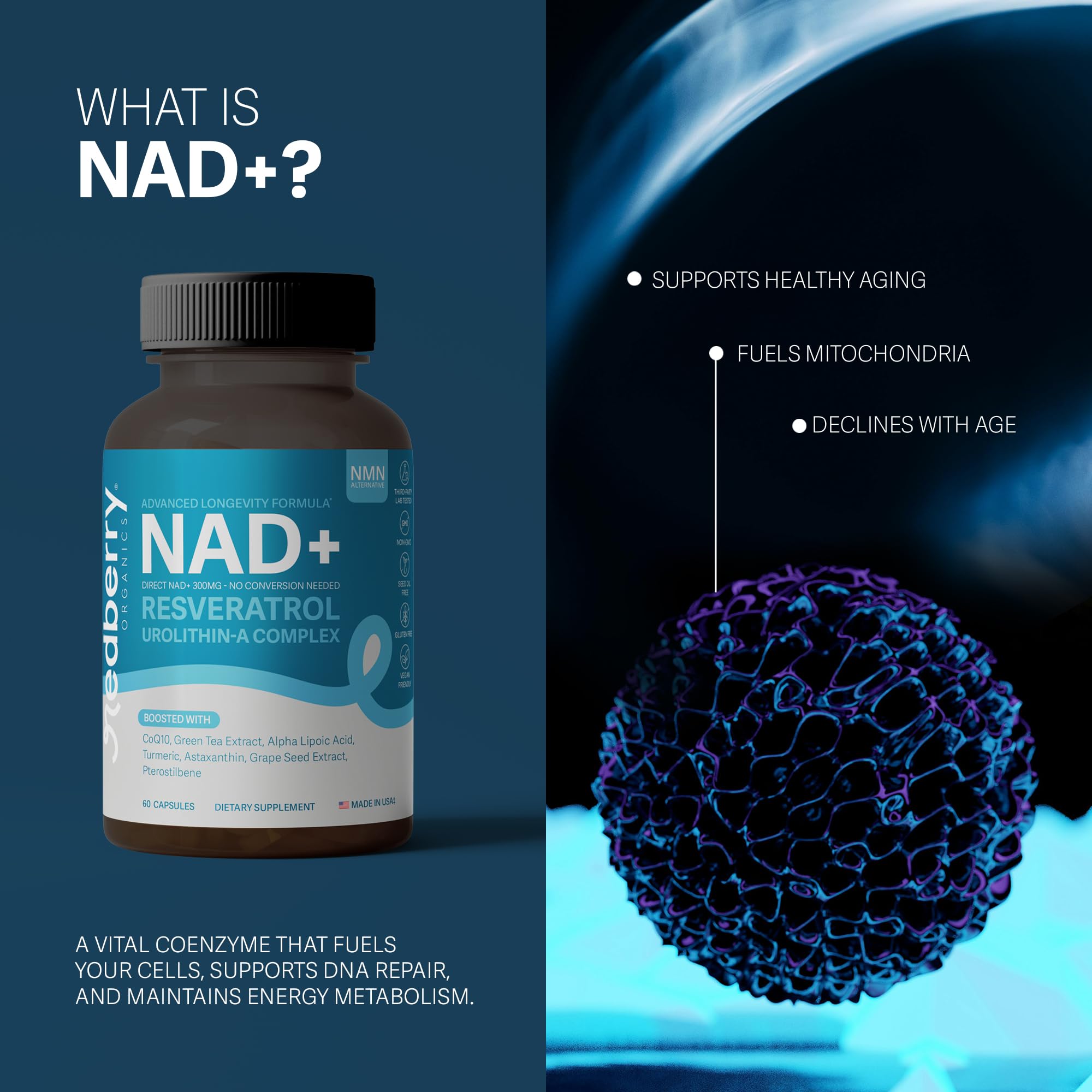 NAD Supplement with Direct NAD+ 300mg (NAD Plus) | Advanced Longevity Complex with Urolithin A & Resveratrol | NMN Alternative | 60 Capsules | Non-GMO, Gluten Free | Made in USA Redberry Organics uk supplements