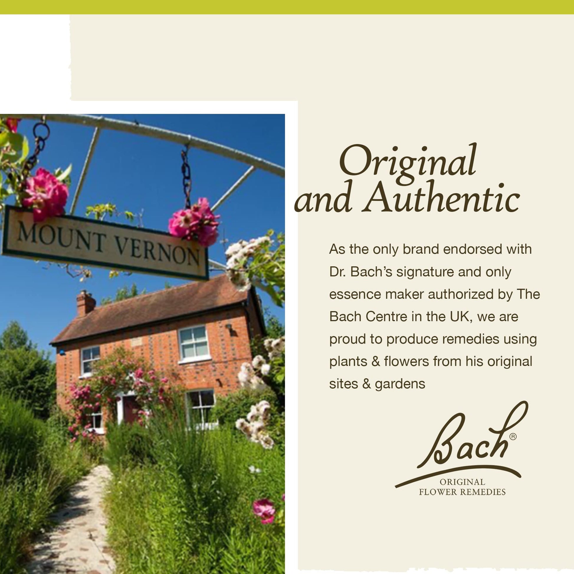 Bach Original Flower Remedies, Honeysuckle for Embracing The Now (Non-Alcohol Formula) Bach uk supplements