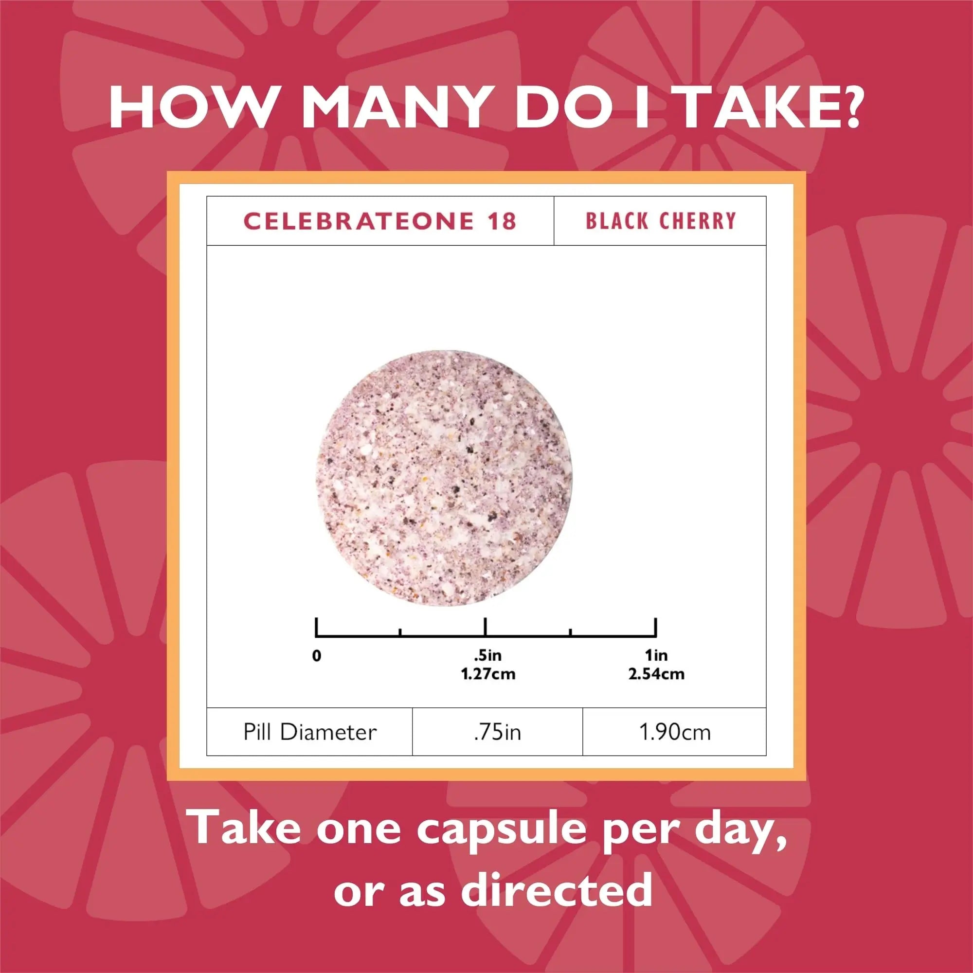 Celebrate Vitamins CelebrateONE 18 Chewables, 18mg Iron - Once Daily Bariatric Multivitamin, Essential Vitamins & Minerals Celebrate Bariatric Supplements uk supplements