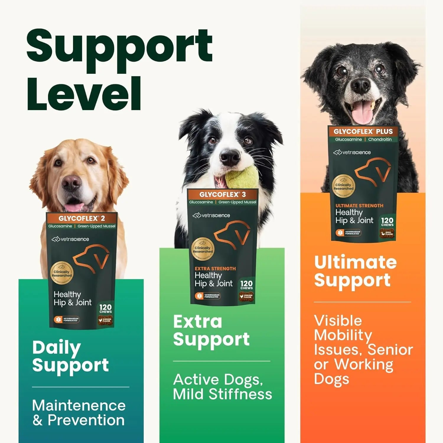VetriScience Ultimate Strength Healthy Hip & Joint Chews, GlycoFlex Glucosamine, Chondroitin and Green-Lipped Mussel Joint Support Supplement for Dogs, Soothe Joint Discomfort, Duck, 120 Count VETRISCIENCE uk supplements