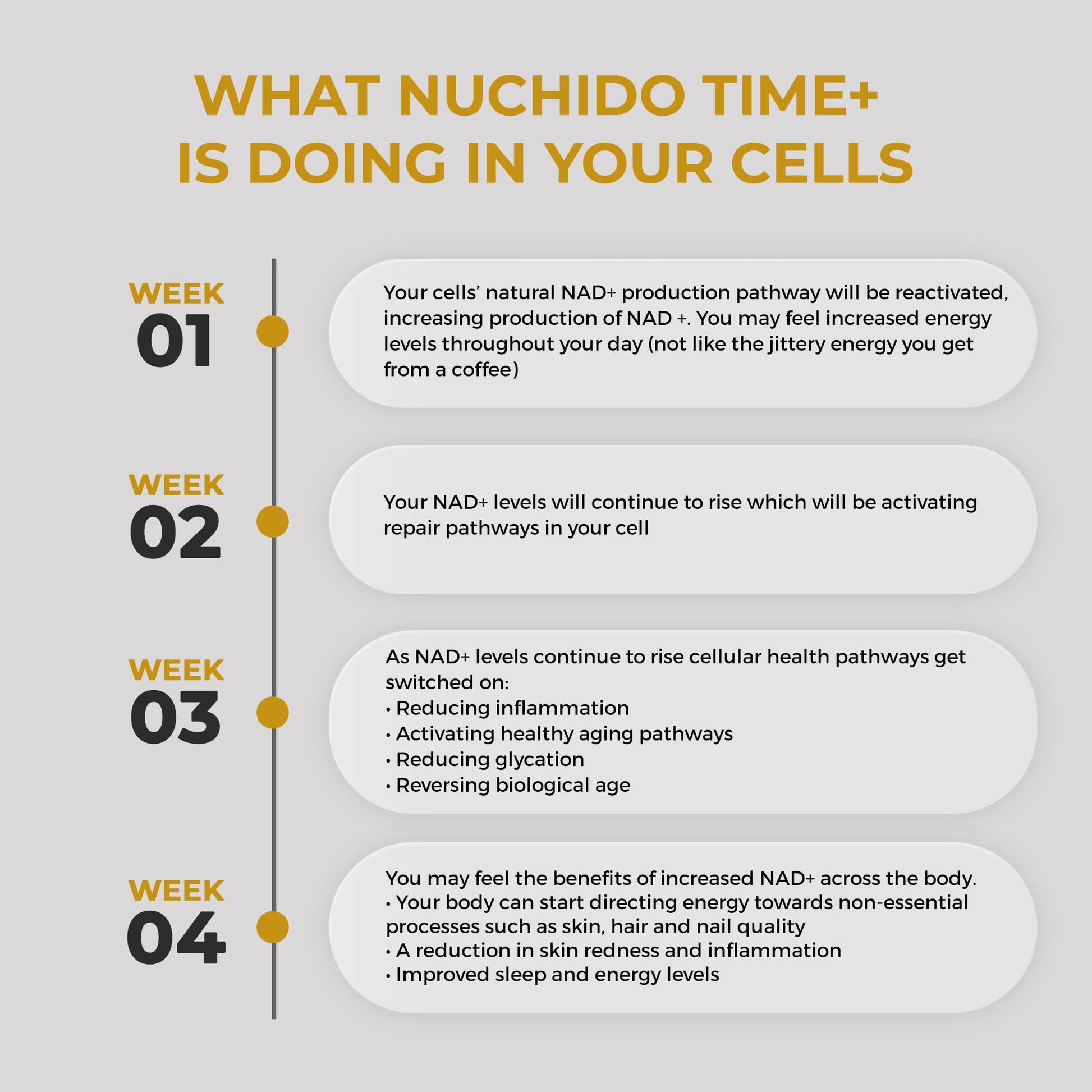 Nuchido Time+ NAD Supplement for Men & Women - Advanced Formula for Healthy Aging, Energy, Focus, Cellular Health & Longevity - Nicotinamide, Alpha Lipoic Acid, Quercetin - 90 Capsules Nuchido Time+ uk supplements