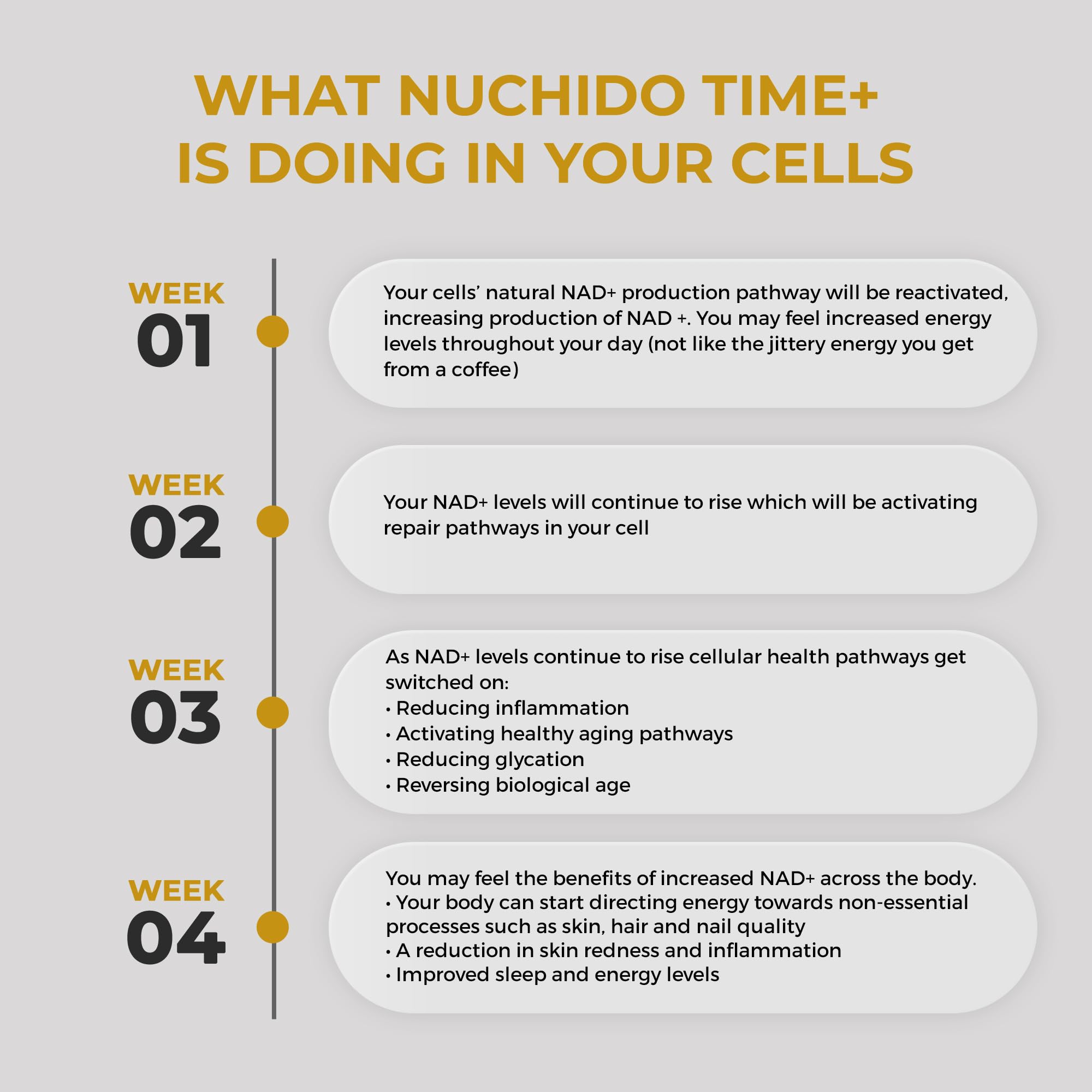 Nuchido Time+ NAD Supplement for Men & Women - Advanced Formula for Healthy Aging, Energy, Focus, Cellular Health & Longevity - Nicotinamide, Alpha Lipoic Acid, Quercetin - 90 Capsules Nuchido Time+ uk supplements