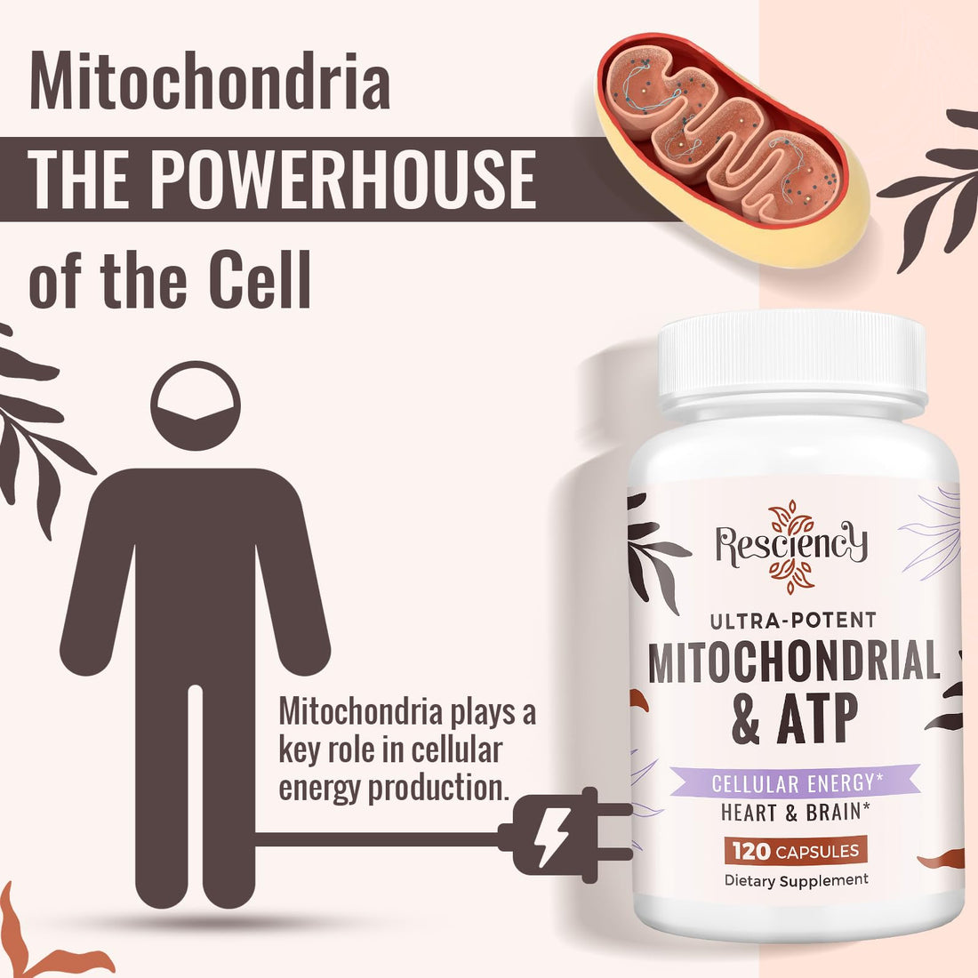 Resciency 2326 MG Mitochondrial Supplements with ATP, Vitamins, CoQ10 & PQQ, More Effective Than Creatine HMB & Nitric Oxide, Energy, Endurance, Strength, Recovery & Muscle, Organic, 120 Capsules Resciency uk supplements