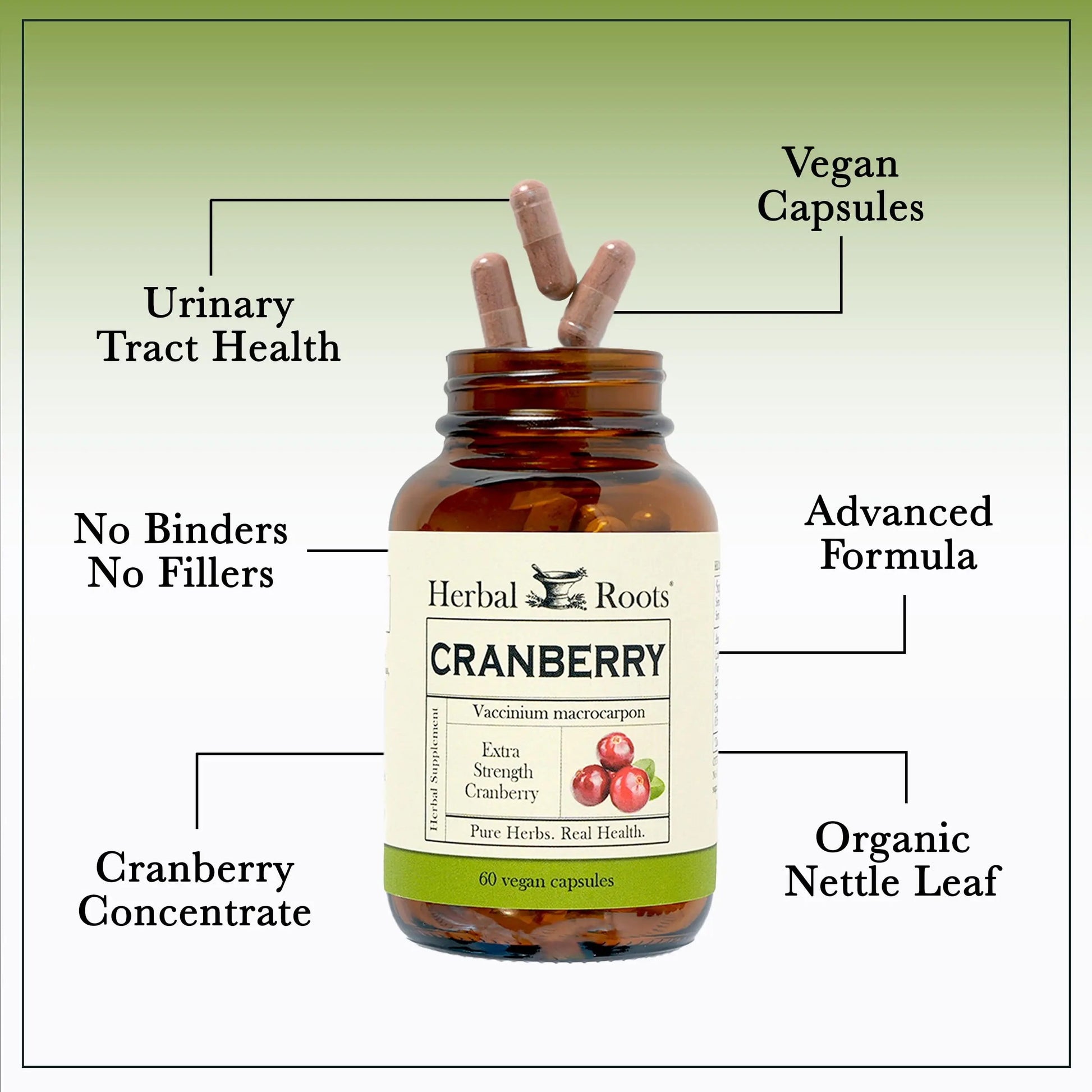 Herbal Roots Extra Strength Cranberry Pills for Women & Men with Organic Nettle | Urinary Tract Health | 60 Vegan Capsules Herbal Roots uk supplements