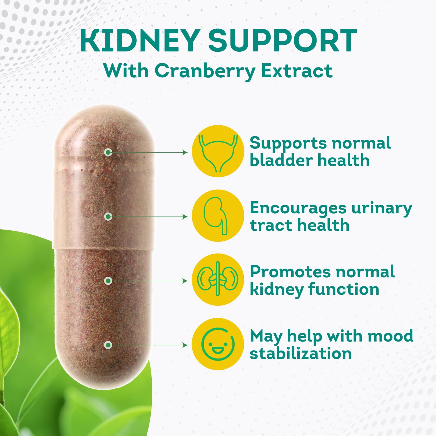 PurePremium Kidney Support Supplement for Men and Women - with Cranberry Extract PurePremium Supplements uk supplements