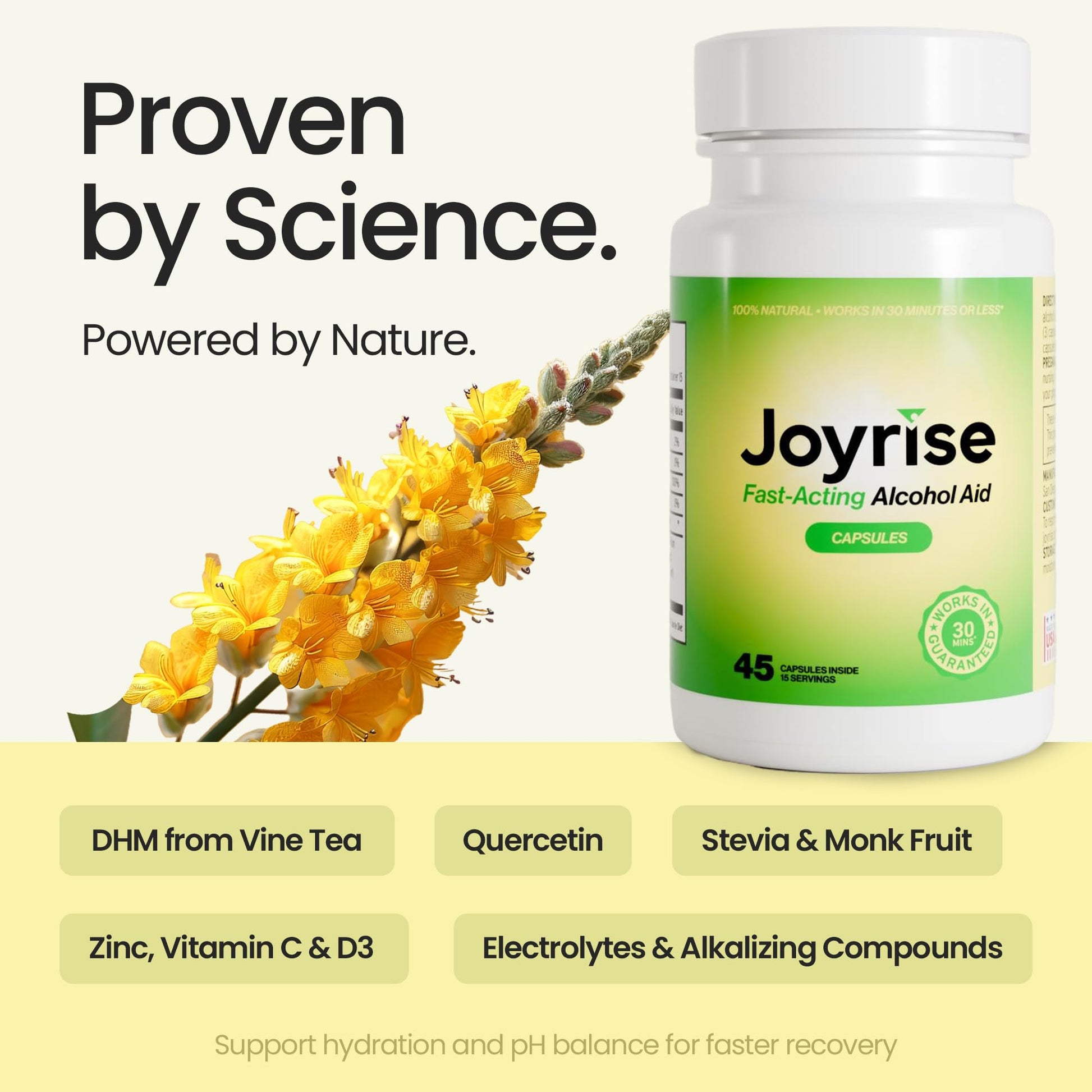 Joyrise® After Drinking Aid – Fast Acting Capsules with DHM – Alcohol Metabolism Support, Liver Health, Rapid Bioavailability & Body Replenishment – 45 Capsules (15 Servings) Joyrise uk supplements