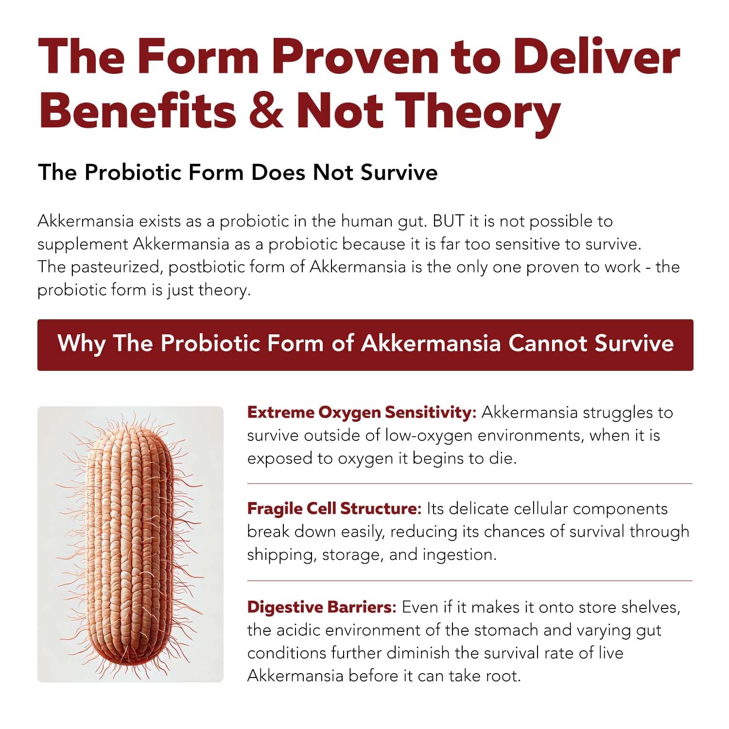 AK-Postbio: Akkermansia Probiotic 30 Billion TFU - Max Strength, Clinically Validated Dose & Patented Strain - Superior Pasteurized Form, Highest Absorption, Delivery - GLP-1 Probiotic - 30 Servings Triquetra Health uk supplements