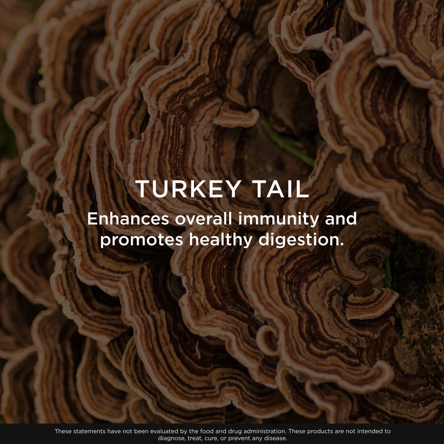 The Genius Brand Genius Turkey Tail - Plant-Based Supplement for Immune, Gut & Antioxidant Support - Organic & Non-GMO - 120 Veggie Capsules The Genius Brand uk supplements