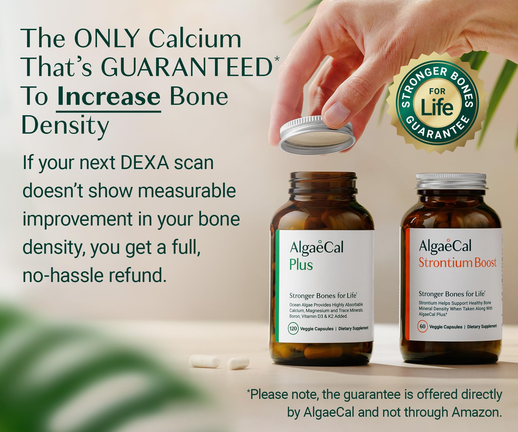 AlgaeCal - Bone Builder Pack for Bone Density Increase, Clinically Supported Plant Based Calcium Supplement & Strontium, Vitamins K2 (100mg), D3 (1600 IU), Magnesium & 16 Essential nutrients ALGAECAL uk supplements