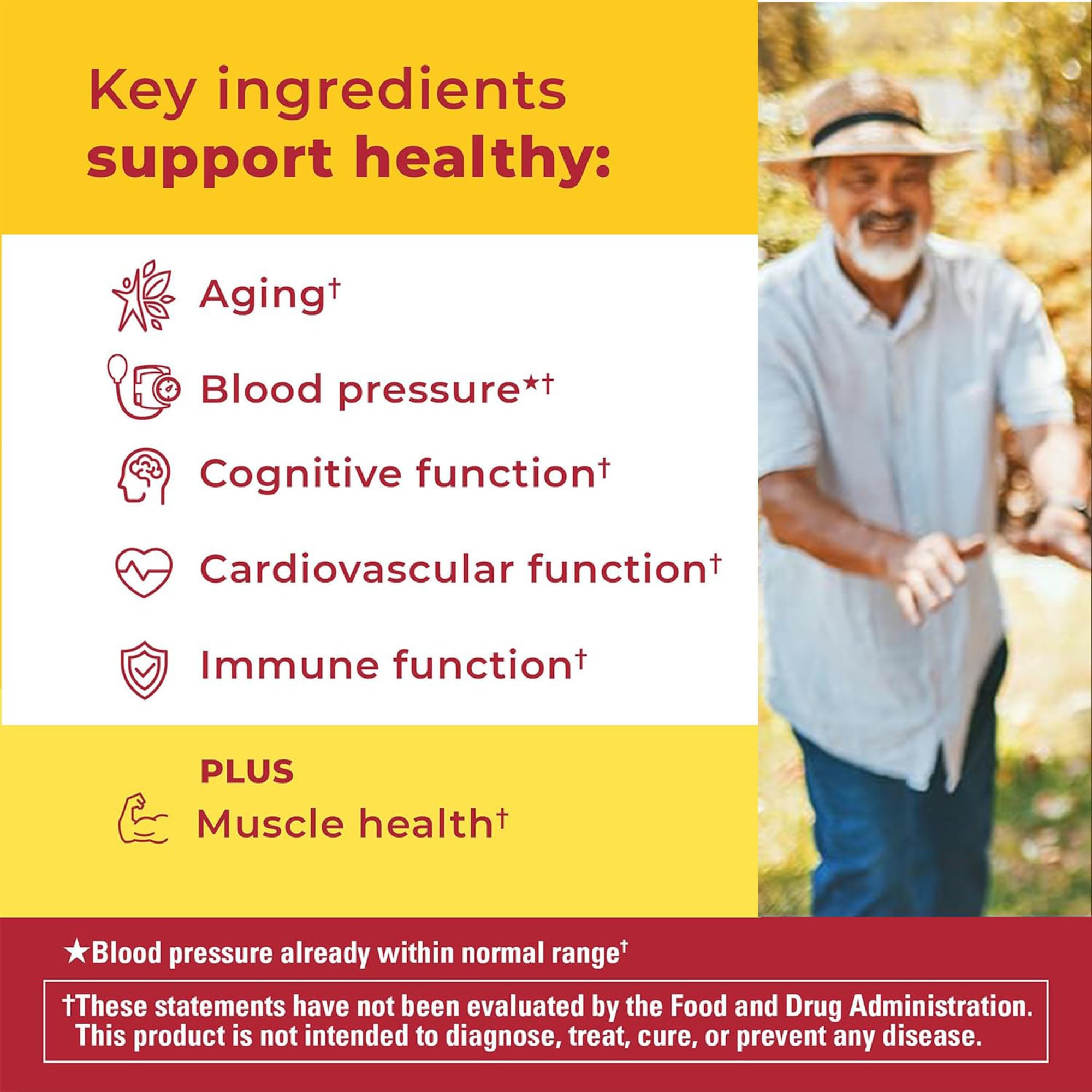 Nature Made Advanced Multivitamin Gummies 50 + for Him, Mens Multivitamins Gummies with Magnesium Citrate Nature Made uk supplements