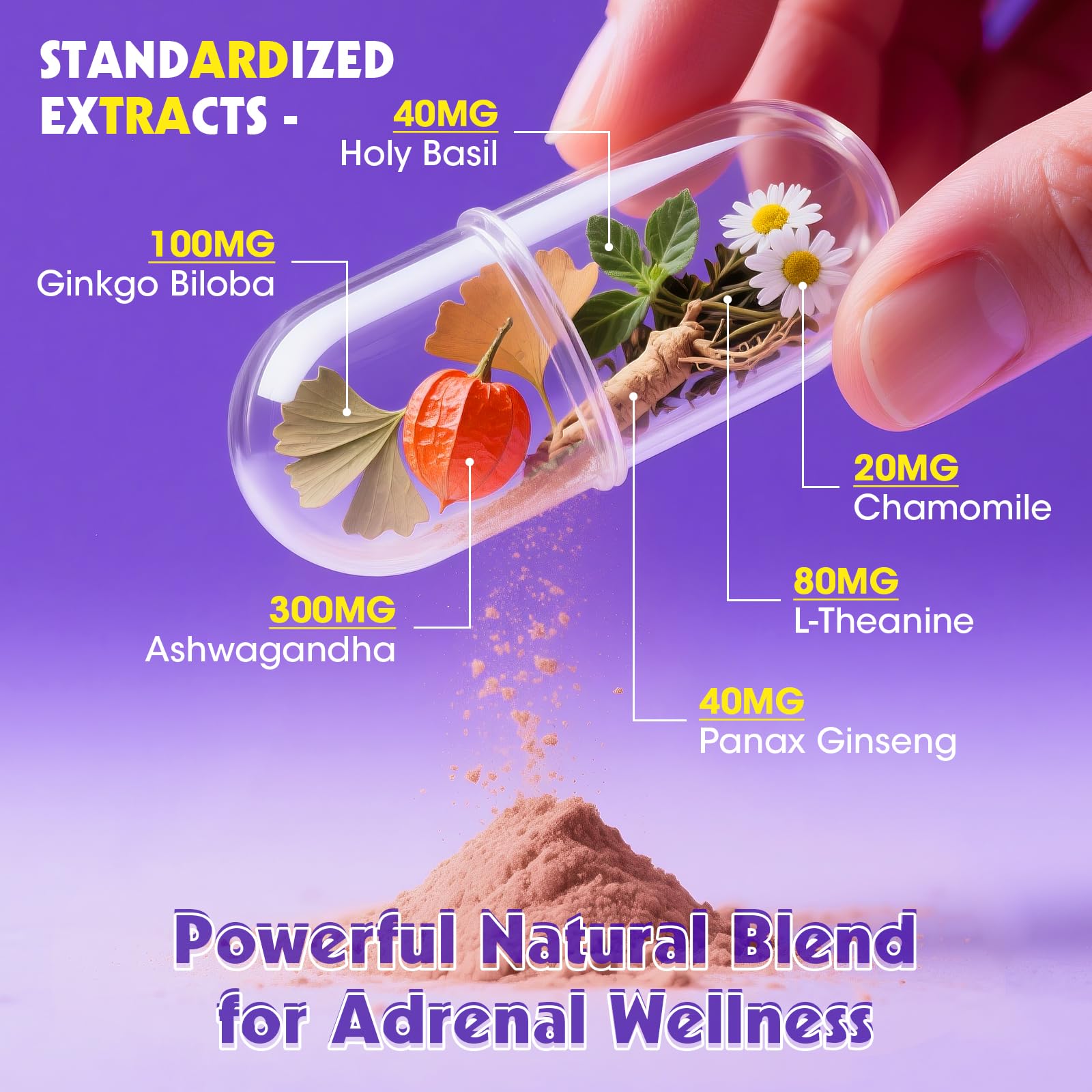 Alliwise Cortisol Supplements for Women & Men - Adrenal Support with Ashwagandha, L-Theanine & Holy Basil for Stress Relief, Mood & Steady Focus - Hormone Balance - 120 Vegan Capsules Alliwise uk supplements