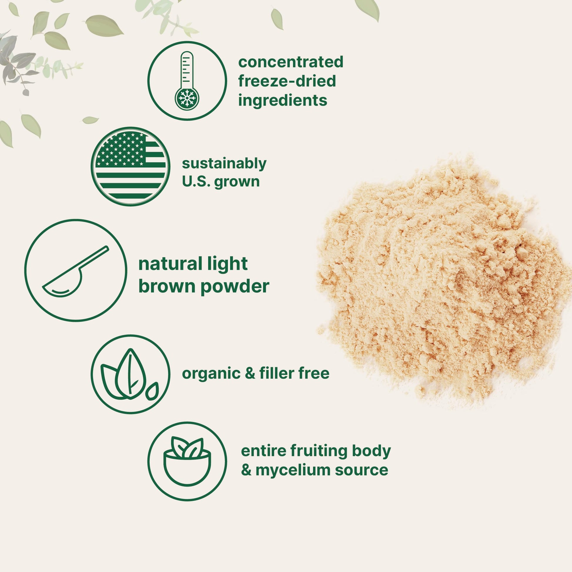Micro Ingredients Organic Lions Mane Mushroom Supplement Powder 16 Ounce Micro Ingredients uk supplements