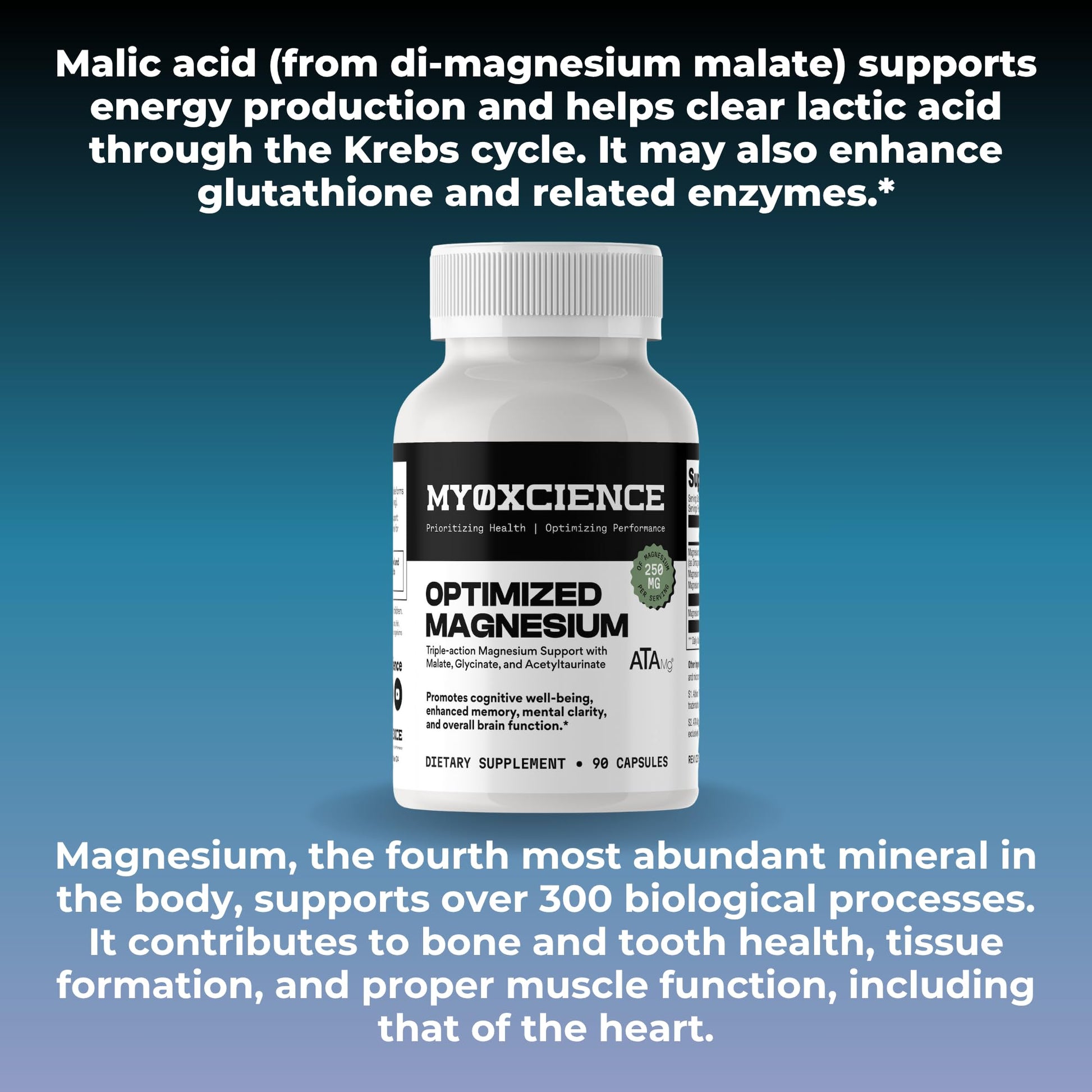 MYOXCIENCE Optimized Magnesium Glycinate + Magnesium Taurate (as ATAmag®) for High Brain Bioavailability to Support Stress Relief and Sleep | 30 Servings MYOXCIENCE uk supplements