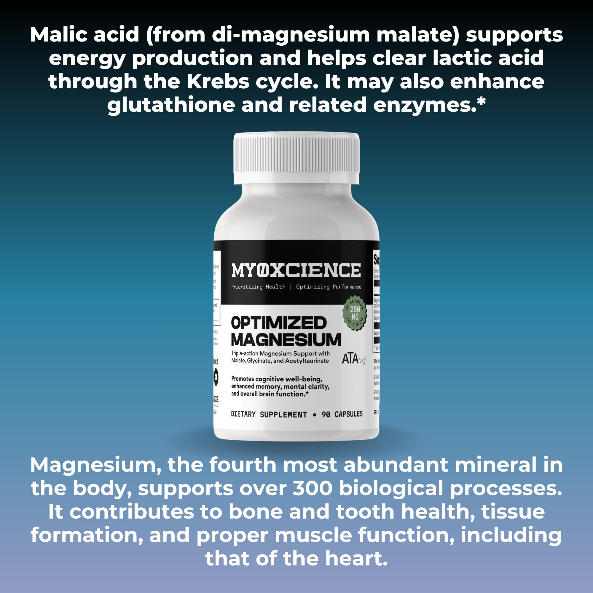 MYOXCIENCE Optimized Magnesium Glycinate + Magnesium Taurate (as ATAmag®) for High Brain Bioavailability to Support Stress Relief and Sleep | 30 Servings MYOXCIENCE uk supplements