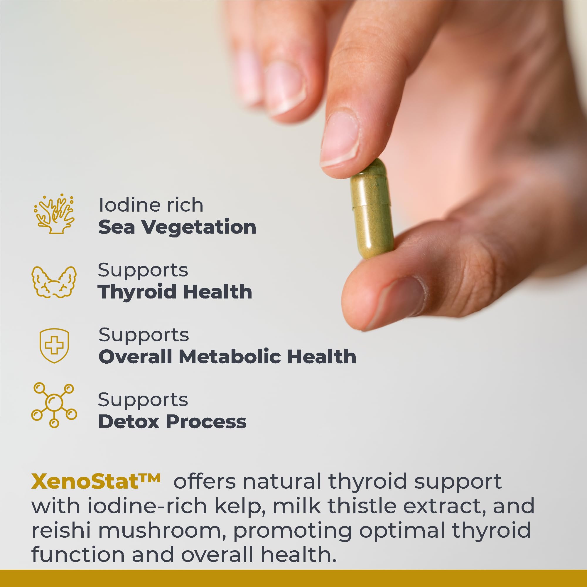 Premier Research Labs XenoStat - Thyroid Supplement, Thyroid Support for Women & Men, Iodine Supplement, Hormone Support, Thyroid Support Complex Supplement - 90 Capsules Premier Research Labs uk supplements