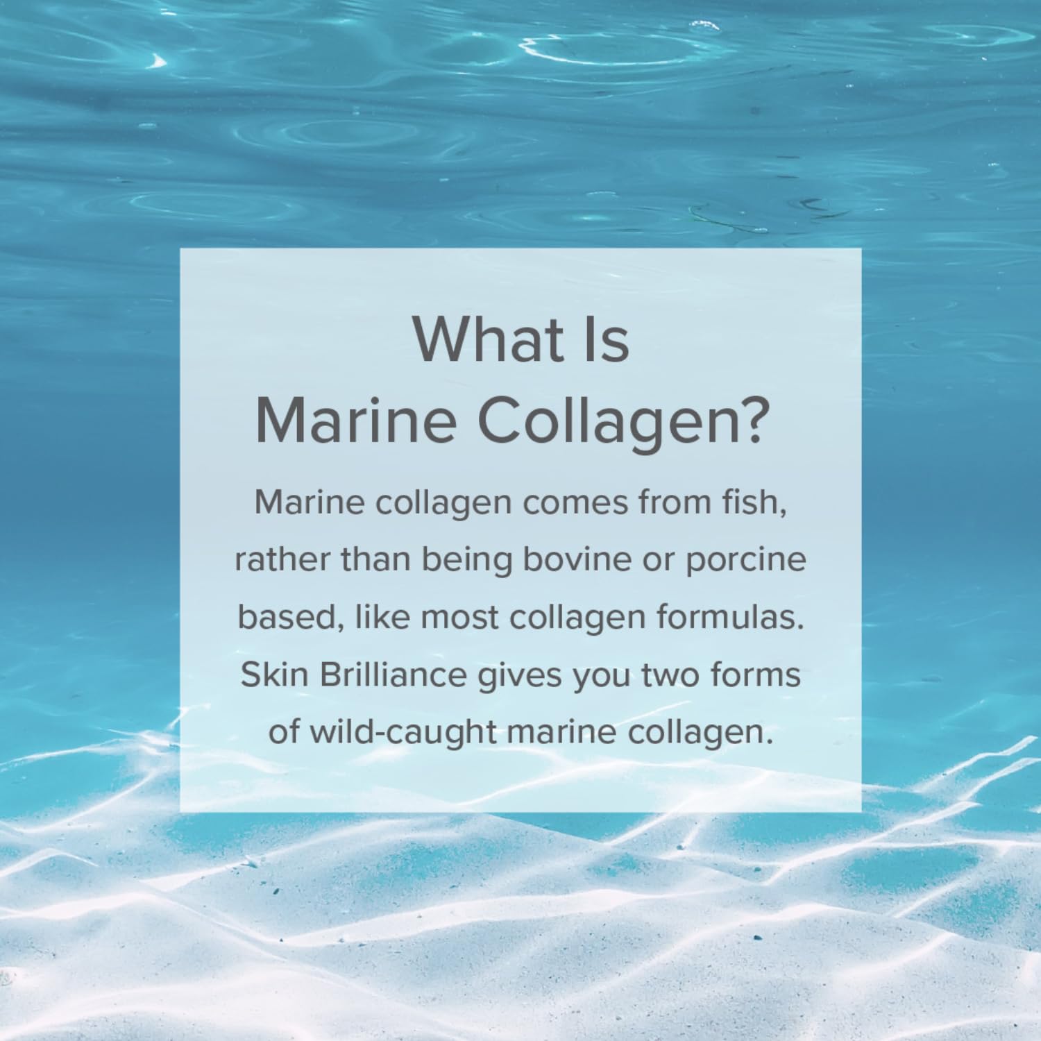 Serovital Skin Brilliance Marine Collagen – Hydrolyzed Marine Collagen Peptides Serovital uk supplements