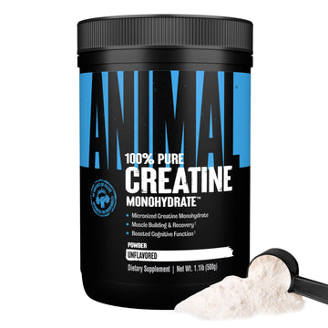 Animal Creatine Monohydrate Powder - Micronized Creatine for Women and Men, Supports Muscle Growth, Strength, Endurance, Recovery and ATP Production, Animal uk supplements