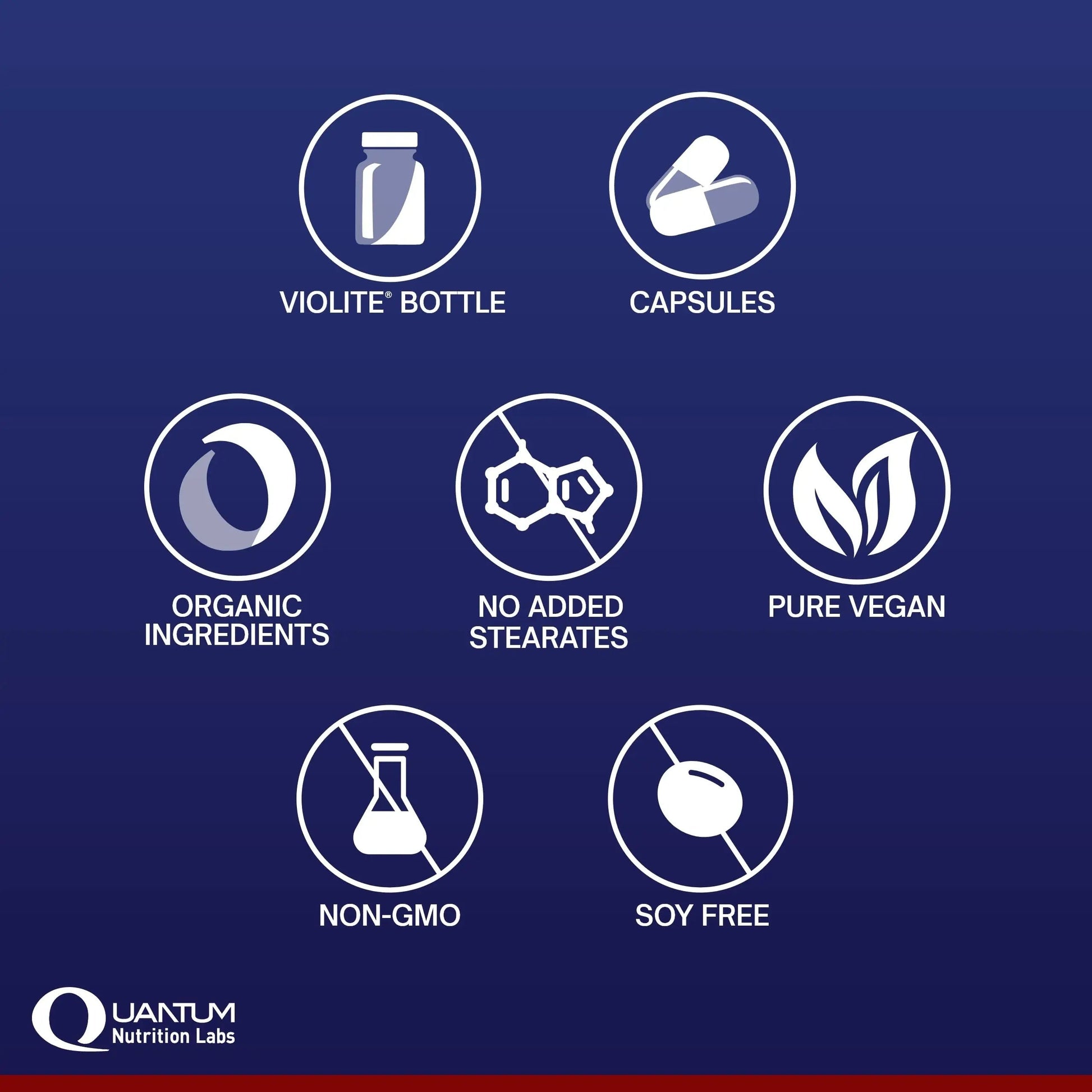 QNL Quantum Plant Multi-Vitamin - Complete Multivitamin - Immune Support for Adults - Natural Multivitamin for Men & Women Quantum Nutrition uk supplements