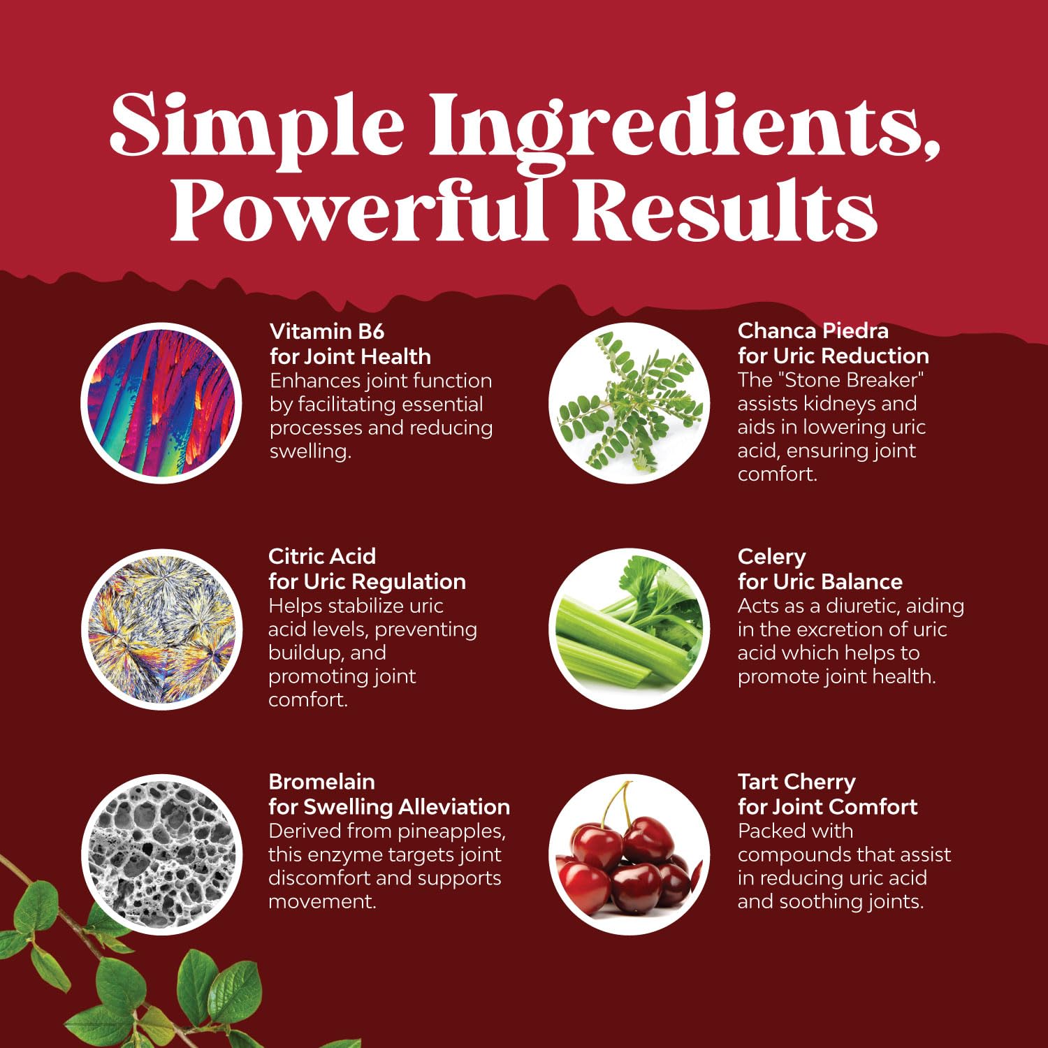 Tart Cherry Capsules for Joint Support and Kidney Cleanse - Daily Uric Acid Detox and Cleanse Natures Craft uk supplements