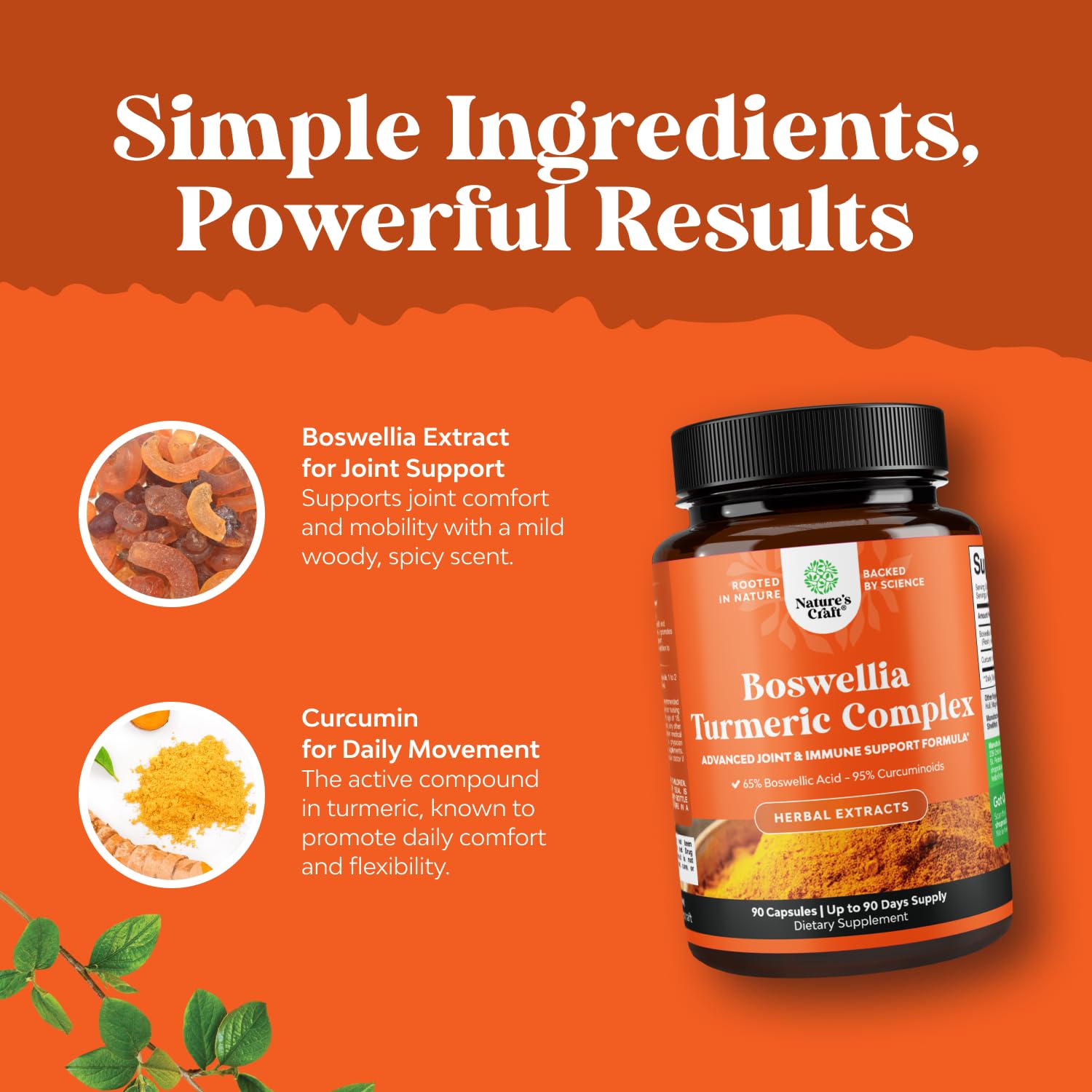 Boswellia Extract Capsules with Turmeric - Advanced Immune Health Support Supplement - Turmeric & Boswellia Serrata Capsules 500mg per Serving for Body Detox & Healthy Joints - 90 Count Natures Craft uk supplements