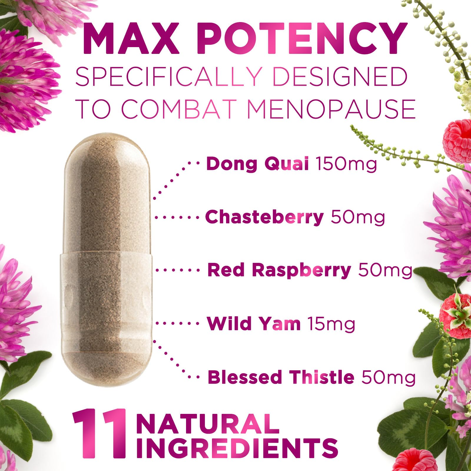 Menopause Supplements for Women - Complete Menopause Relief with Dong Quai & Black Cohosh - For Natural, Mild Hot Flash & Night Sweats - Hormone, Energy & Balance Support, Bottled in USA - 60 Capsules Nature's Nutrition uk supplements