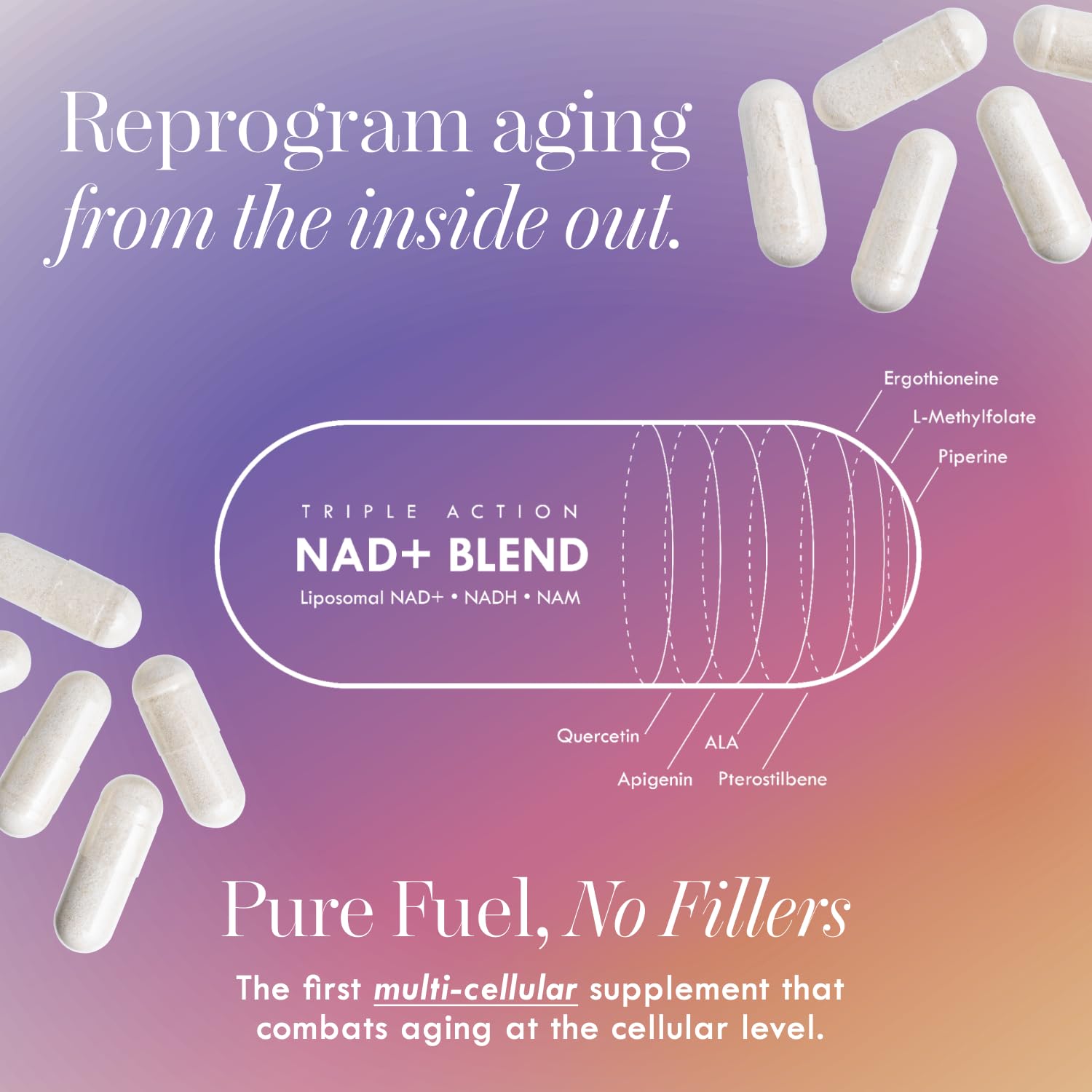 Cell Theory NAD+ Supplement – Triple Action Liposomal NAD+ & NADH Formula for Cellular Energy, Mitochondrial Support, and Longevity, Developed by Dr. Halland, 60 Capsules (30-Day Supply) Cell Theory uk supplements