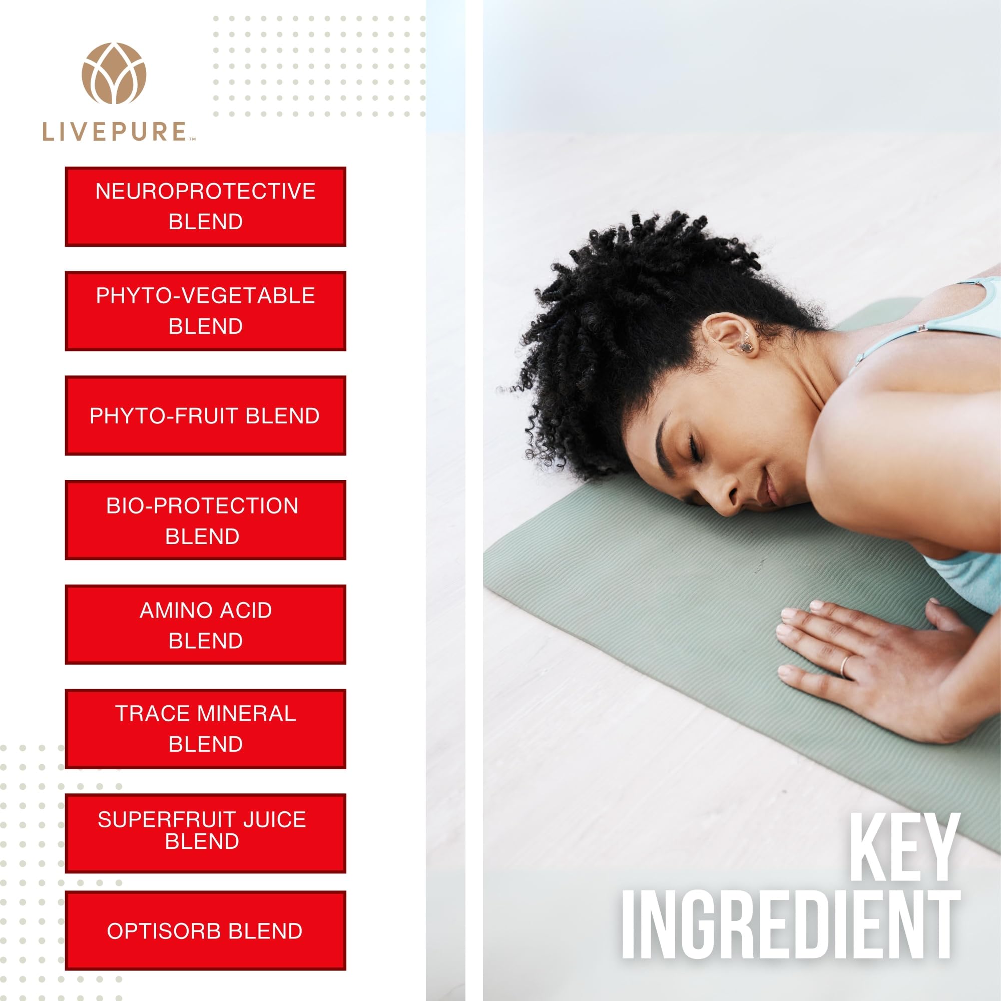 PURE Daily Build | 120 Capsules | Advanced Multivitamin Supplement | Enhanced with Essential Vitamins, Minerals PURE uk supplements