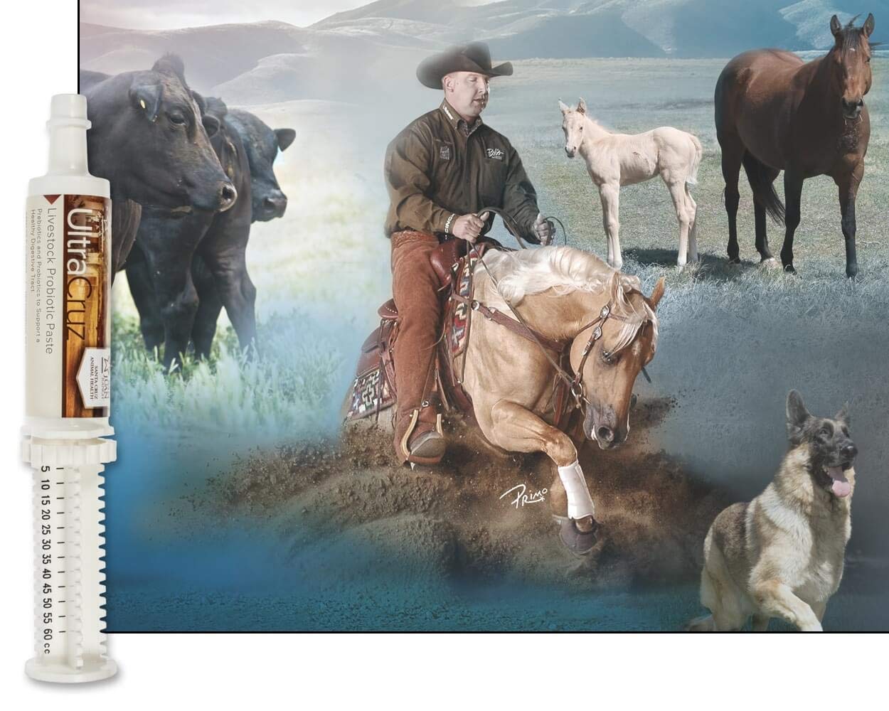 60 ml, Paste, 4 Day Supply UltraCruz uk supplements