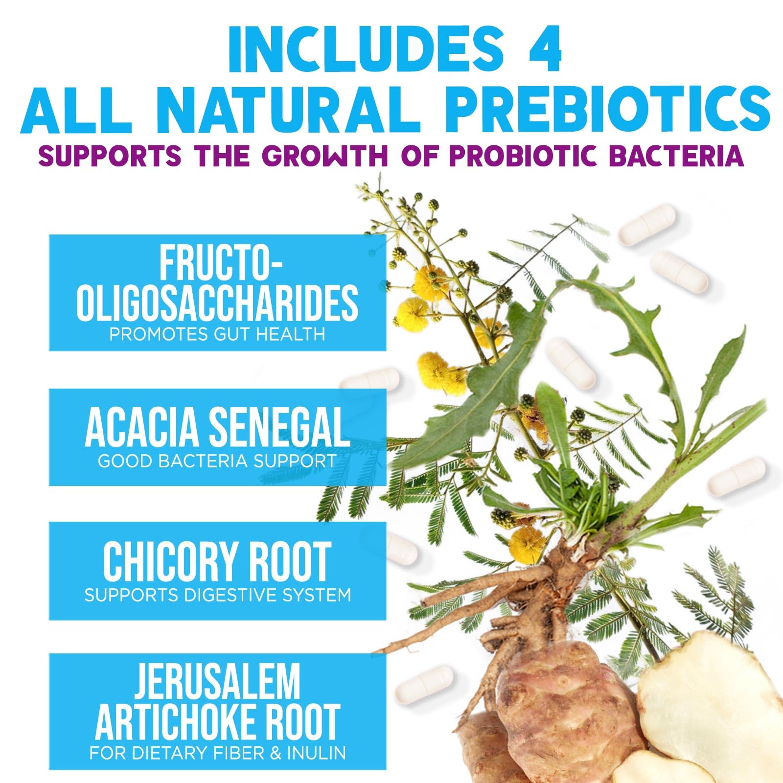 Probiotics 100 Billion CFU Per Serving - 10 Probiotic Strains & Prebiotics - Digestive Gut Health, Immune Support & Occasional Constipation, Gas & Bloating - Daily Supplement For Adults - 60 Capsules Nature's Nutrition uk supplements