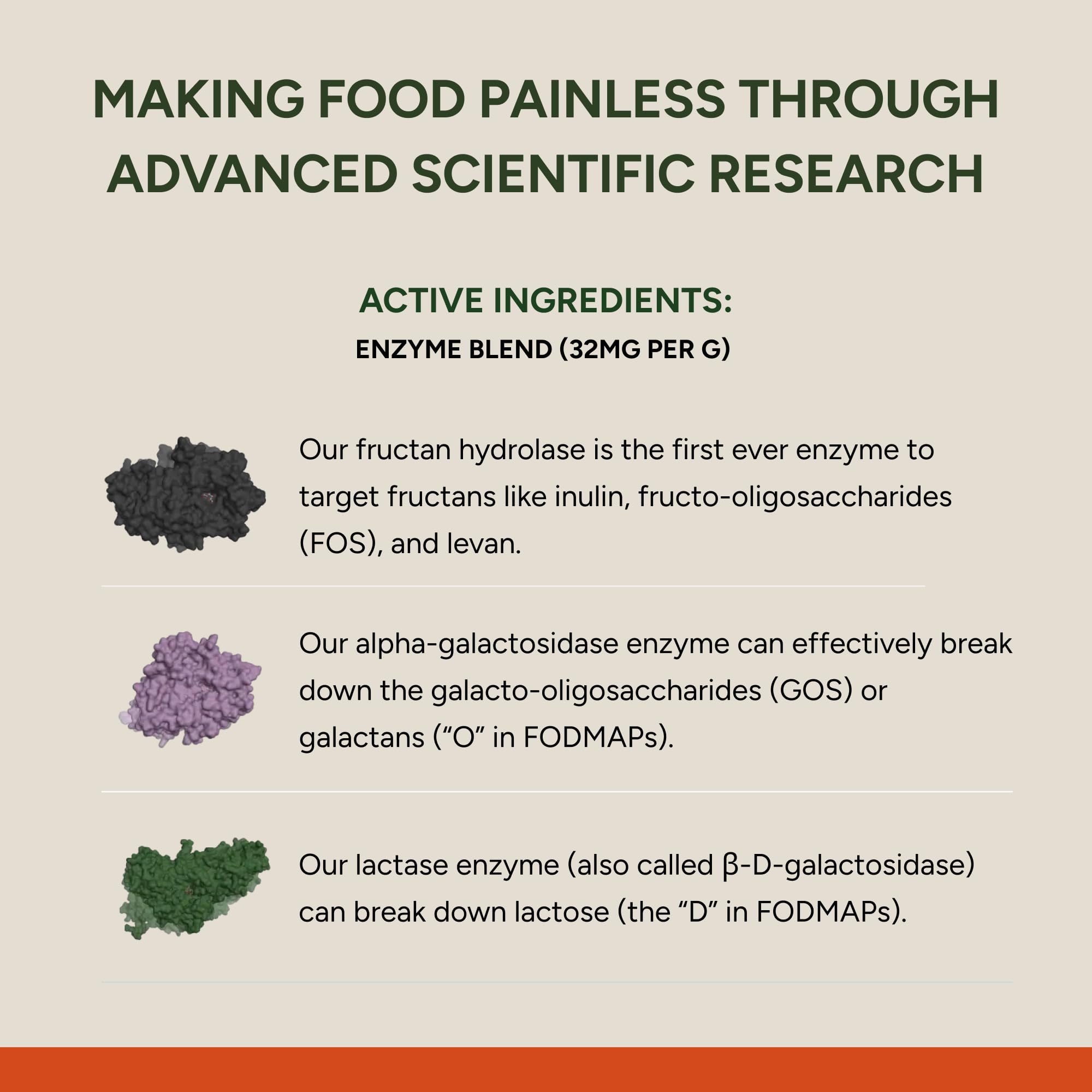 FODZYME® On-The-Go Digestive Enzymes for Gut Health, Relief for Bloating, Gas, Constipation, Diarrhea,