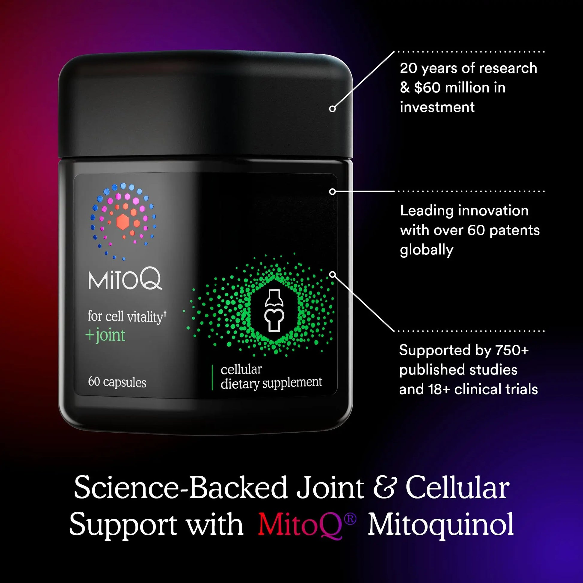 MitoQ +Joint Advanced CoQ10 Antioxidant Supplement - Contains Mitoquinol Mesylate & Green Lipped Mussel Omega Oil Extract - Supports Healthy Joint, Mobility and Cell Vitality (60 Softgel Capsules) MitoQ uk supplements