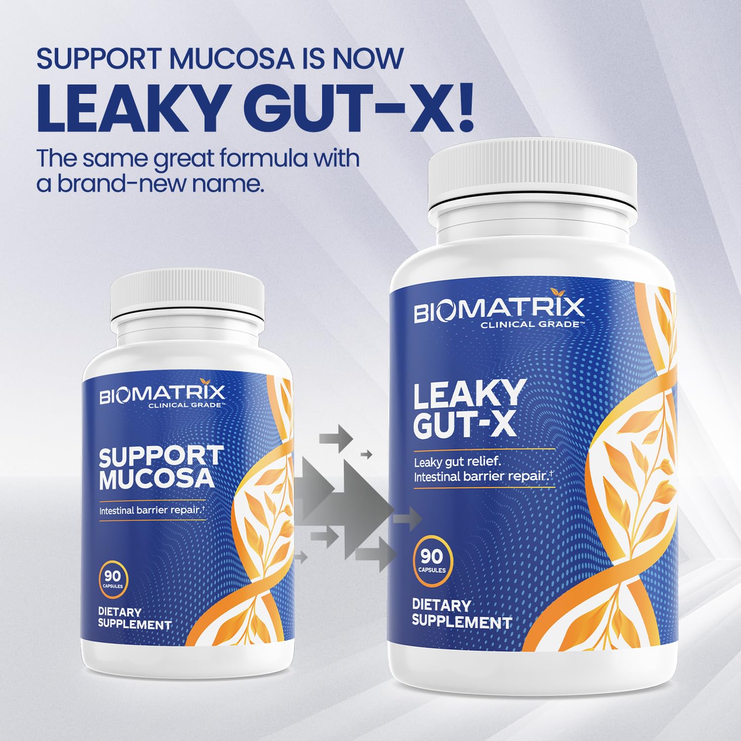 BioMatrix Leaky Gut Repair Supplement w/Glutamine, Quercetin, Cat's Claw, MSM, SIBO, Prebiotic Support, Intestinal Barrier Revive for Men and Women | 60-Day Supply – Leaky Gut-X BioMatrix uk supplements