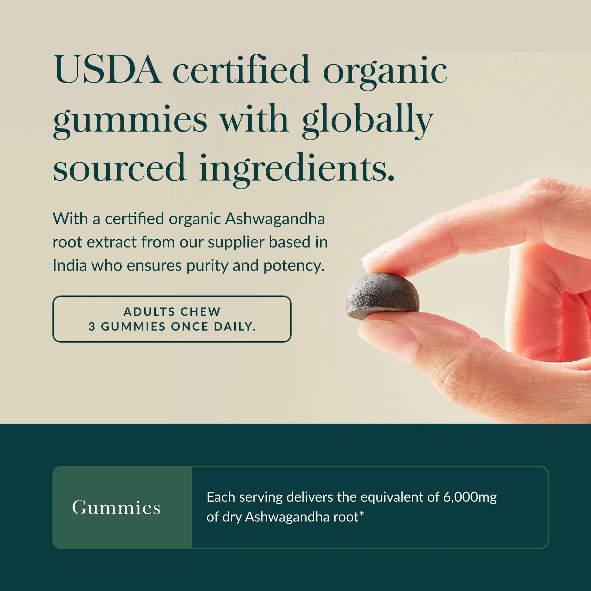 Gaia Herbs Organic Ashwagandha Gummies - Stress Support* - Made with Cinnamon & Ginger - Gluten Free & Vegan - 45 Count (15 Servings) Gaia Herbs uk supplements
