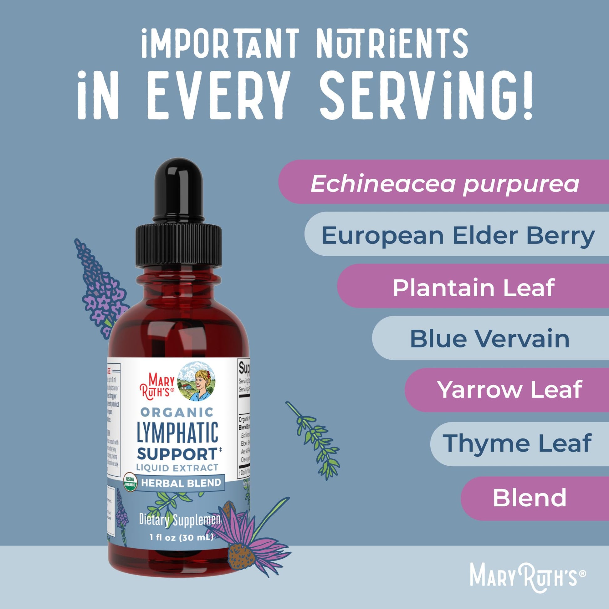 Lymphatic Support Drops by MaryRuth's | USDA Organic Lymphatic Cleanse Immune Support Supplement| Lymphatic Support with Echinacea & Elderberry | Blue Vervain | Vegan | Non-GMO | 30 Servings MARYRUTH'S uk supplements