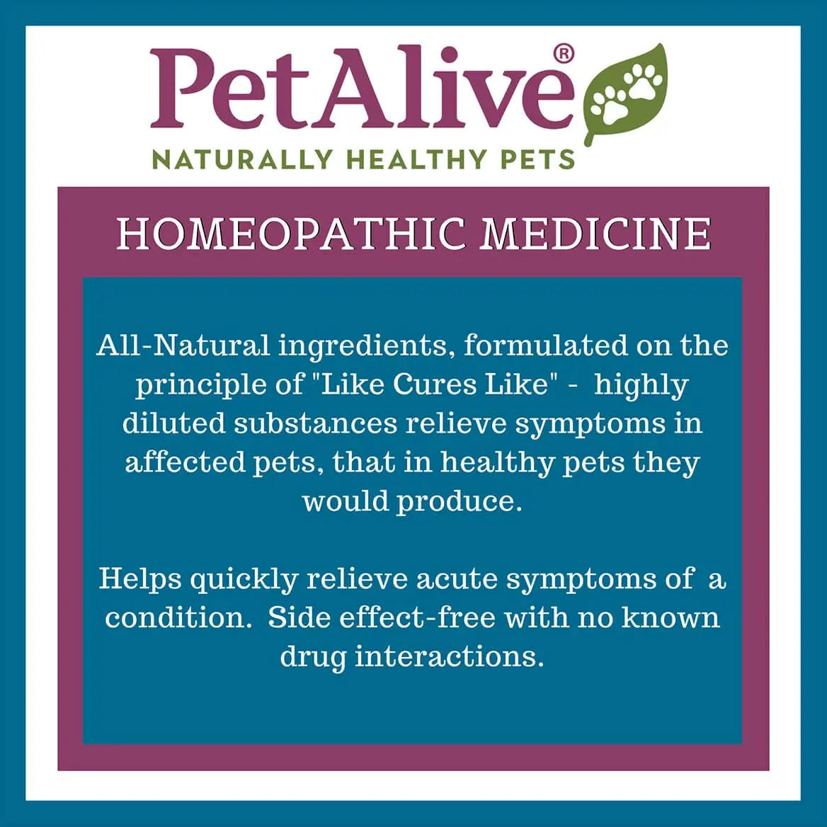 PetAlive Muscle and Joint Support-M - Natural Homeopathic Formula for Joint Pain and Stiffness in Pets - Supports Joint Health and Movement in Dogs and Cats - 59 mL PetAlive uk supplements