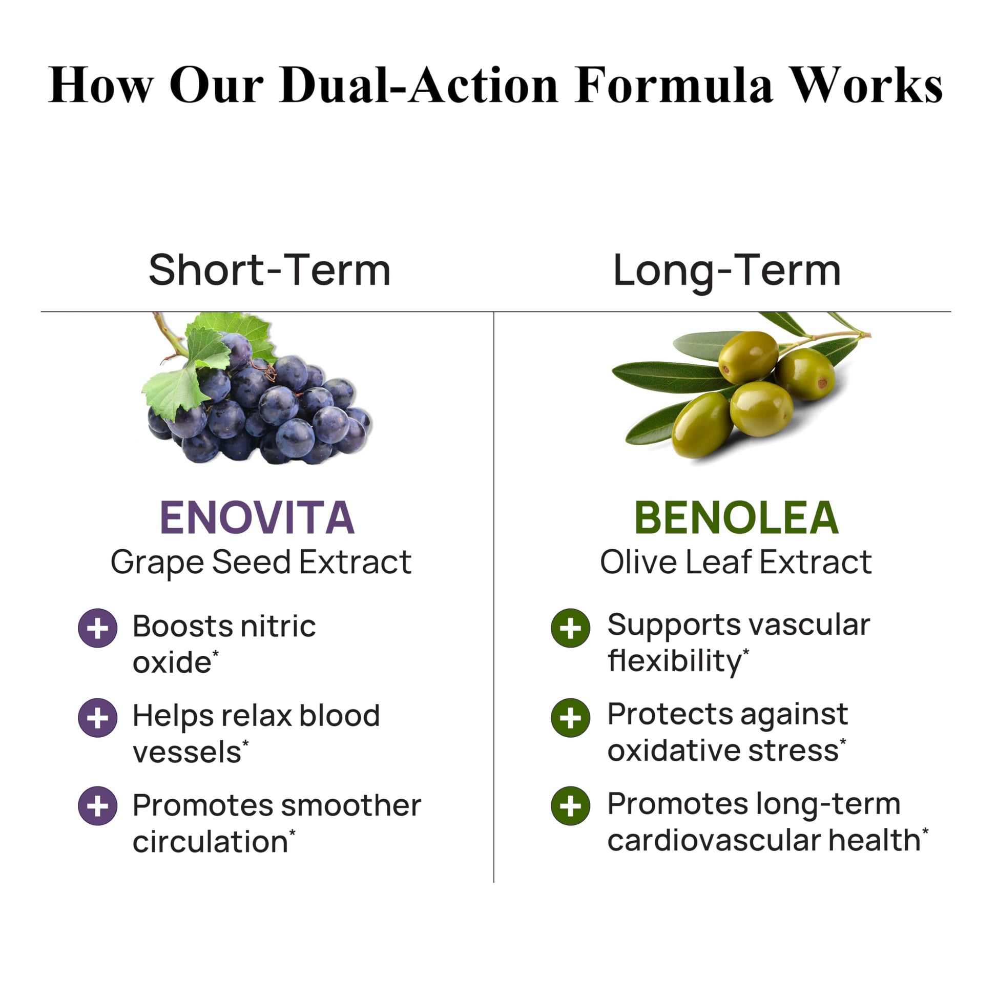 Durable Blood Pressure – Benolea Olive Leaf & Enovita Grape Seed Extract – Healthy Circulation, Nitric Oxide & Artery Support – Doctor Formulated, Vegan, Non-GMO, Made in USA (60 Capsules) Durable uk supplements