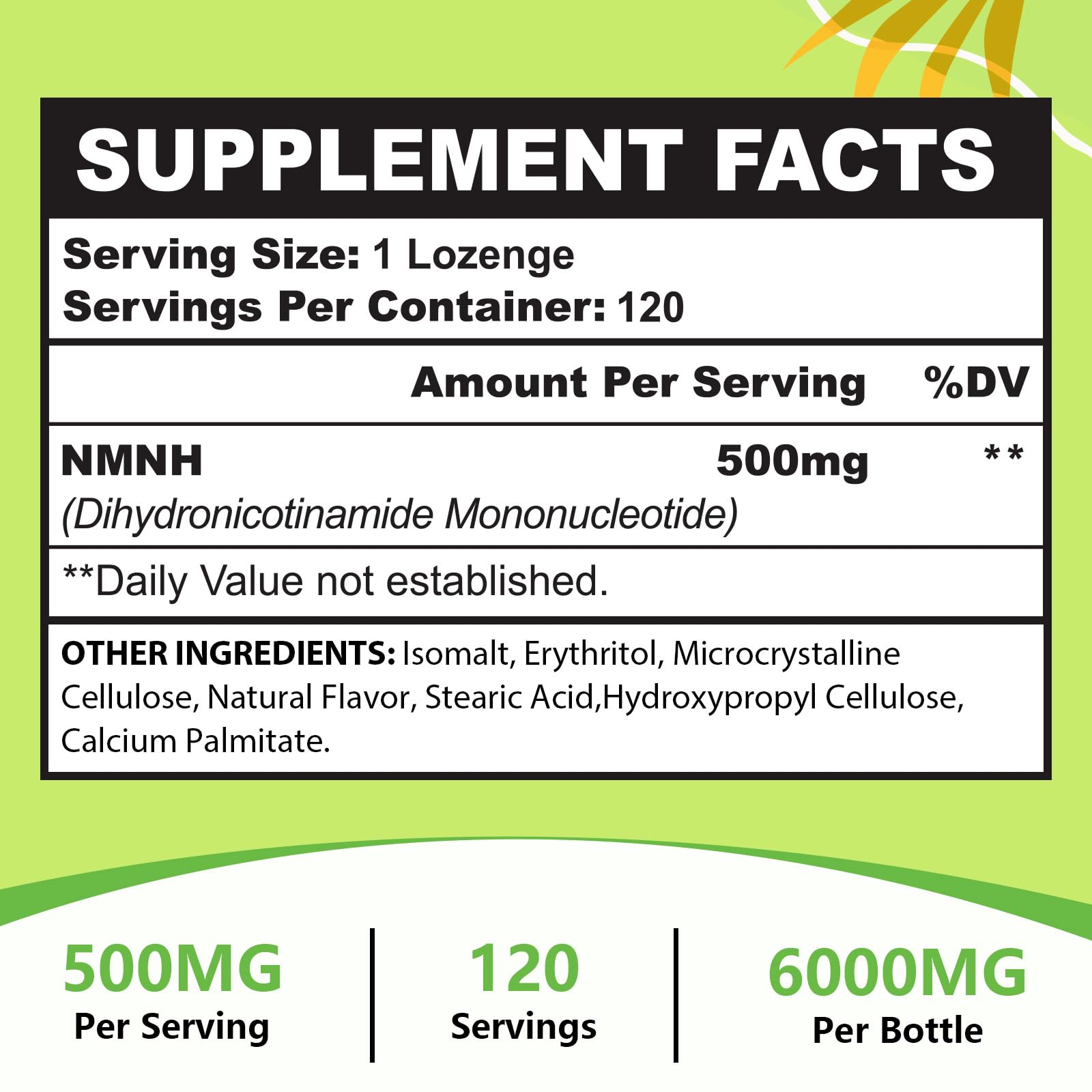 Sublingual NMNH 500mg (Dihydronicotinamide Mononucleotide) (120 Servings, NMNH 500mg per Serving) NAD Supplement to Boost NAD Levels as We Age, for Anti-Aging, Energy, Immunity, Focus - 120 Count Ursinquil uk supplements